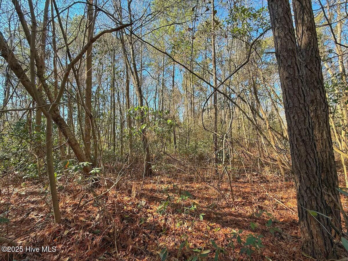 213 Saddlewood Drive Property Photo 15