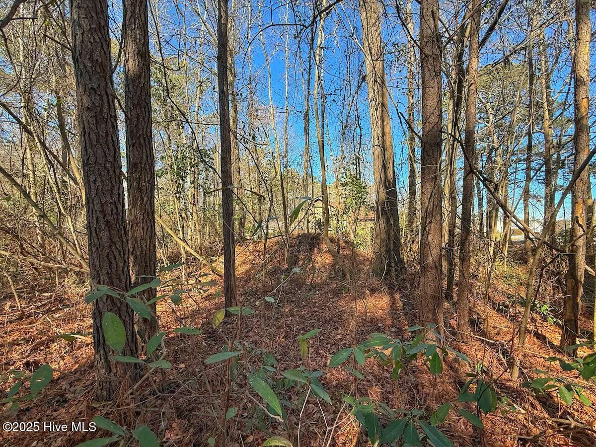 213 Saddlewood Drive Property Photo 16