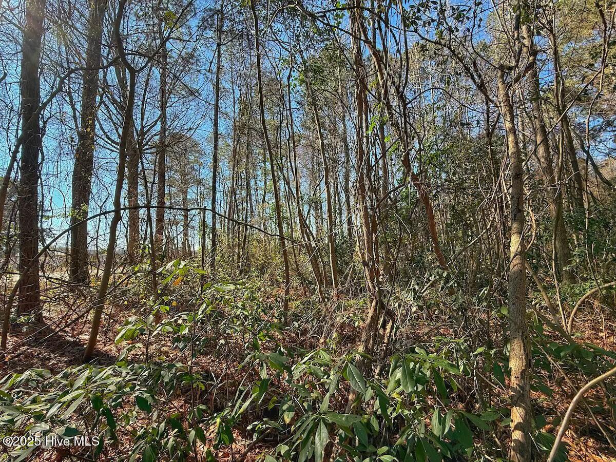 213 Saddlewood Drive Property Photo 18