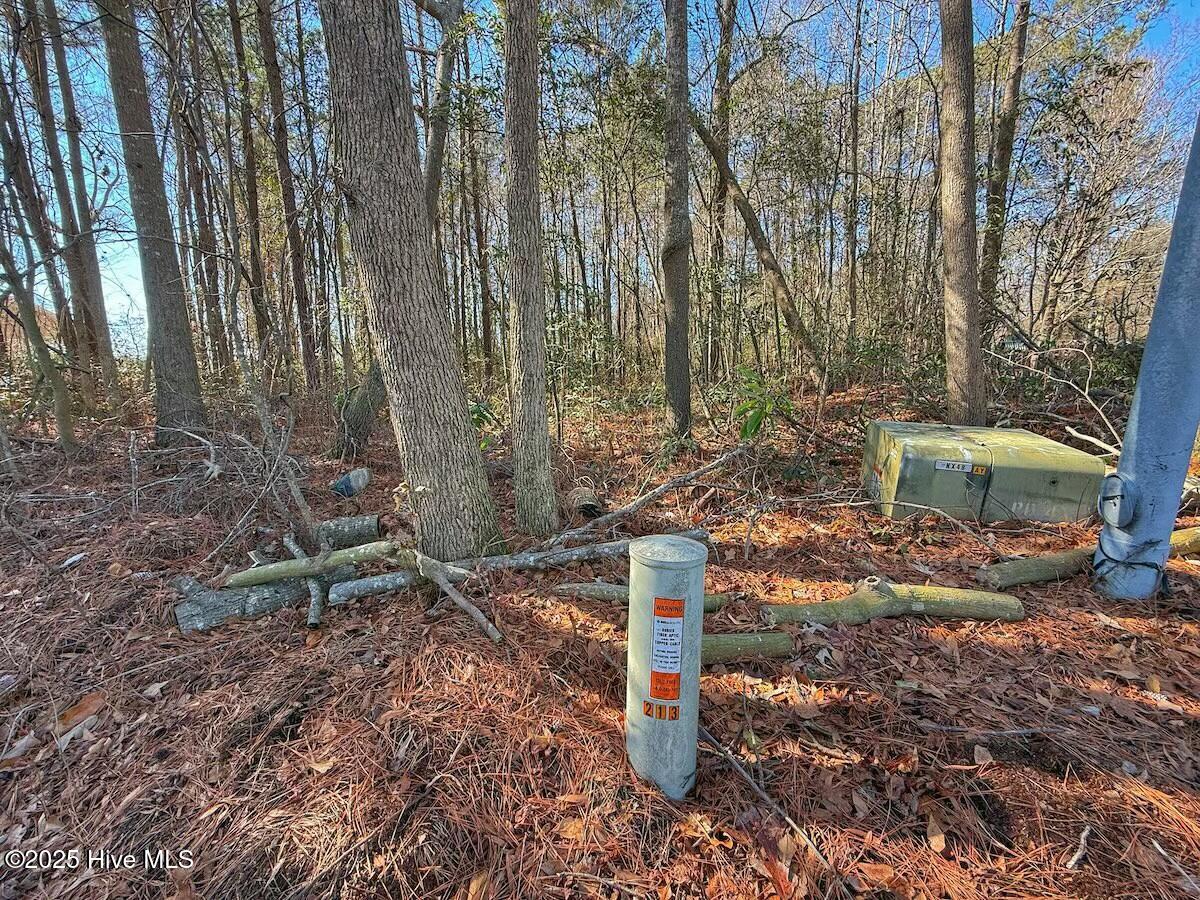 213 Saddlewood Drive Property Photo 20