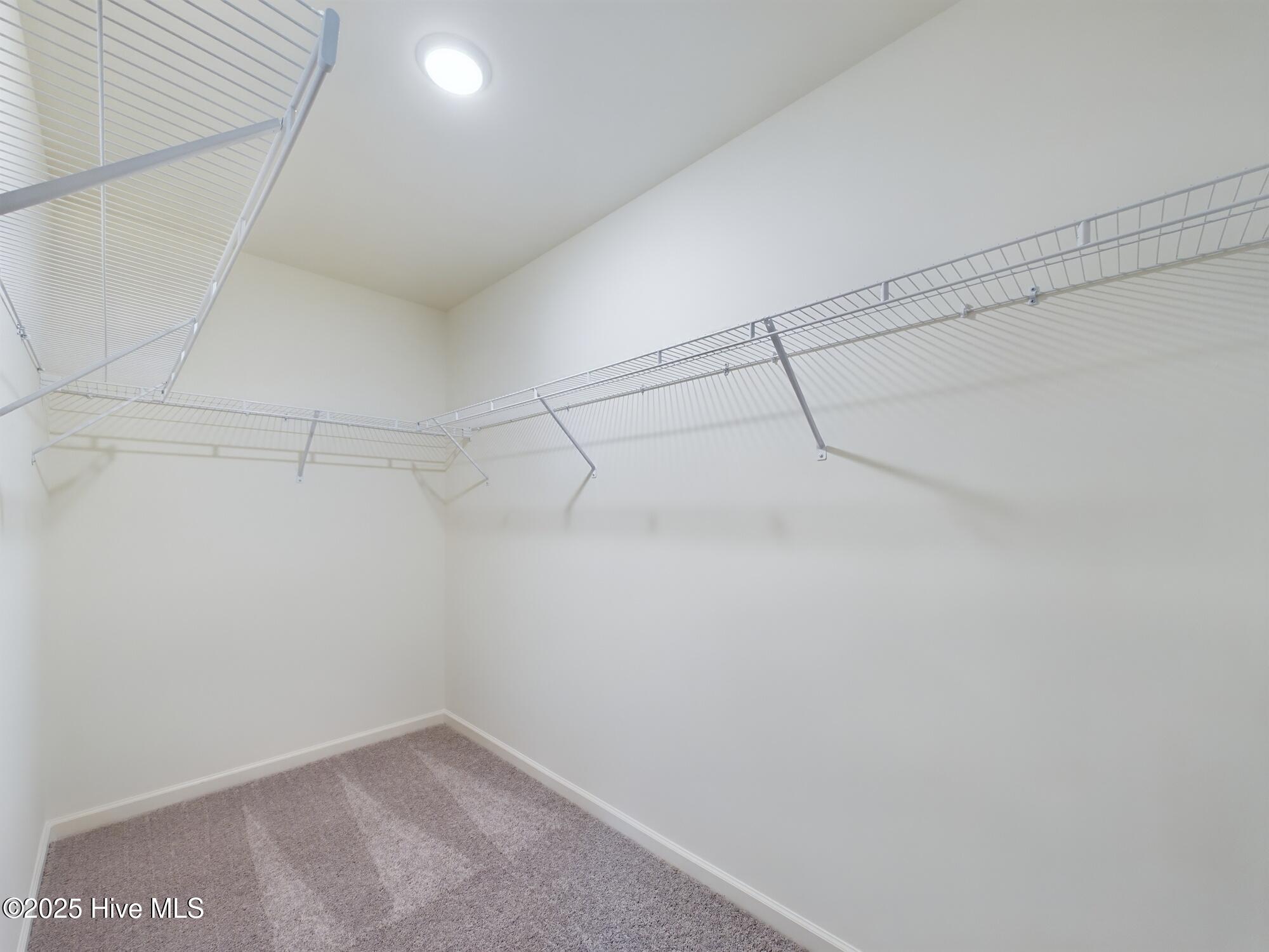 32 Moss Oaks Court Property Photo 38
