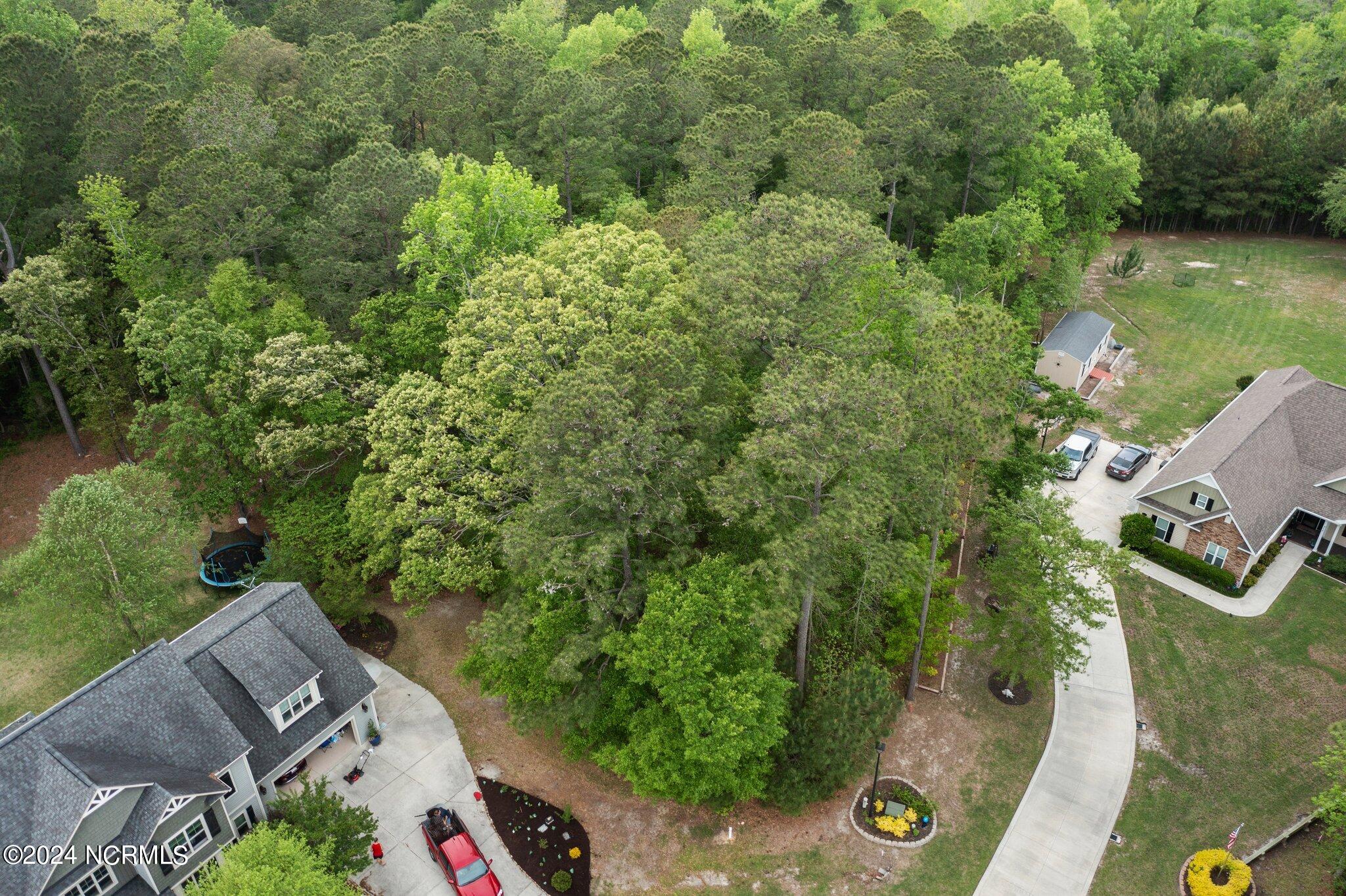307 Joans Ridge Property Photo 3