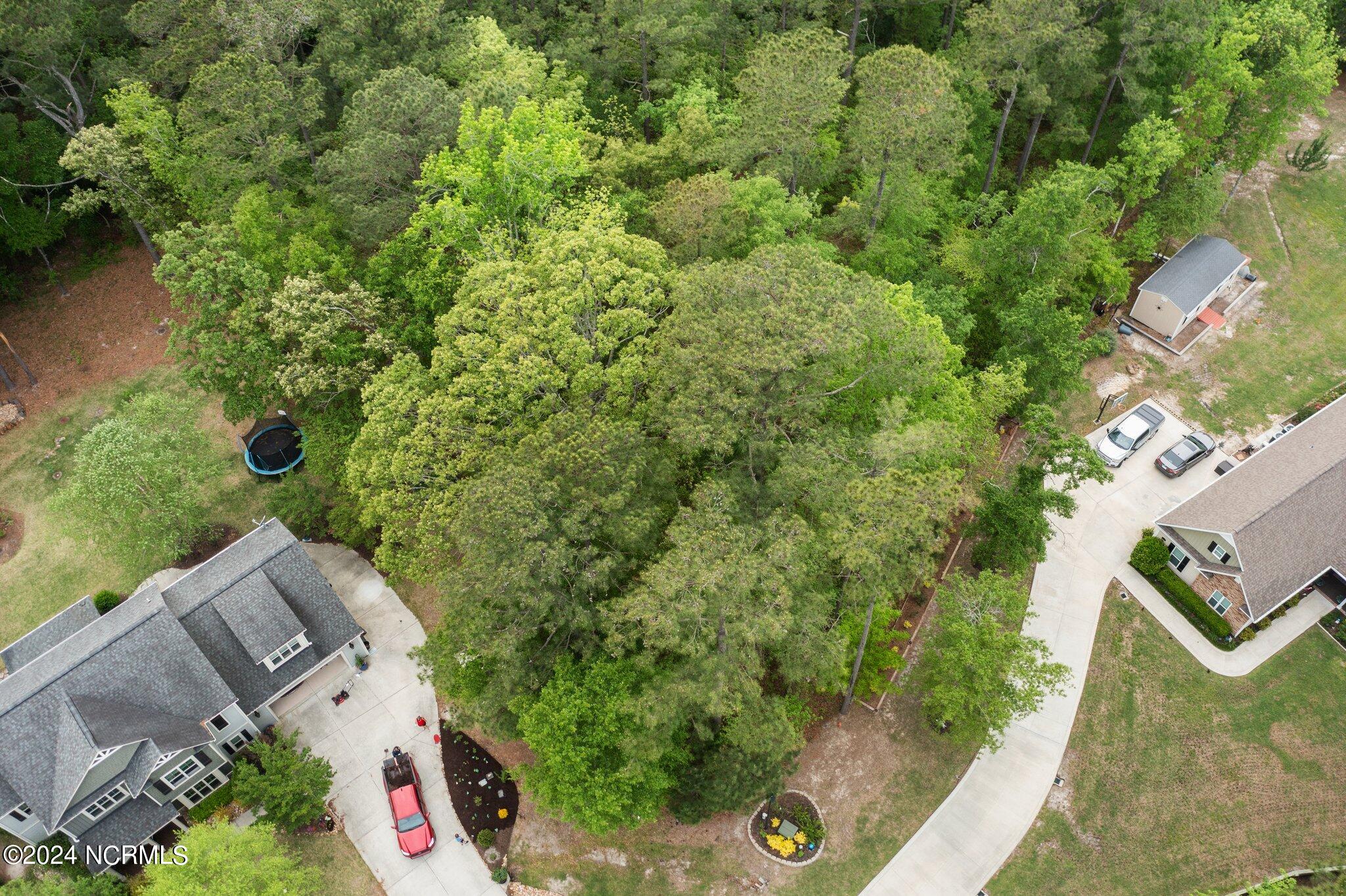 307 Joans Ridge Property Photo 5