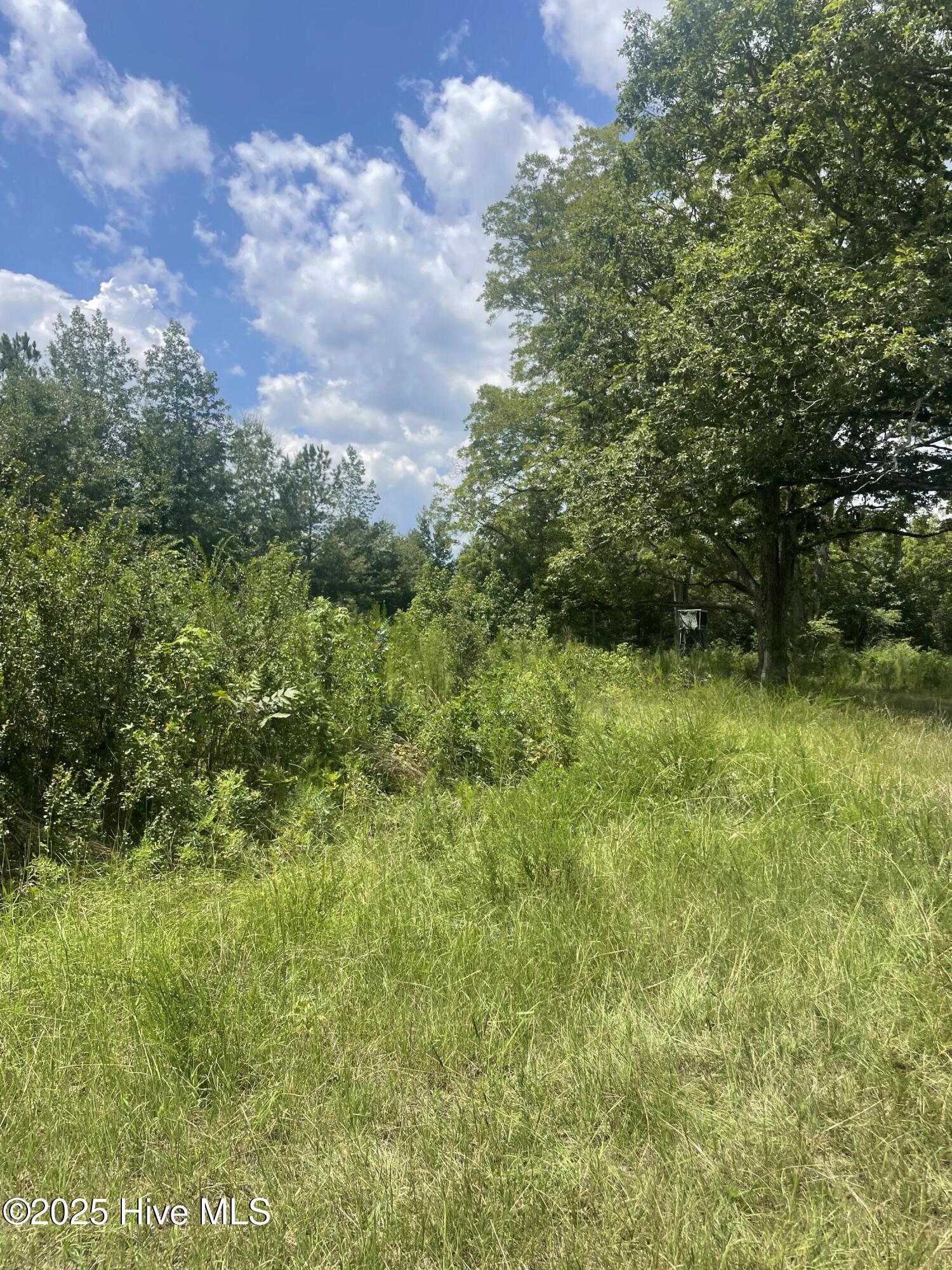 340 Kennedy Road Property Photo
