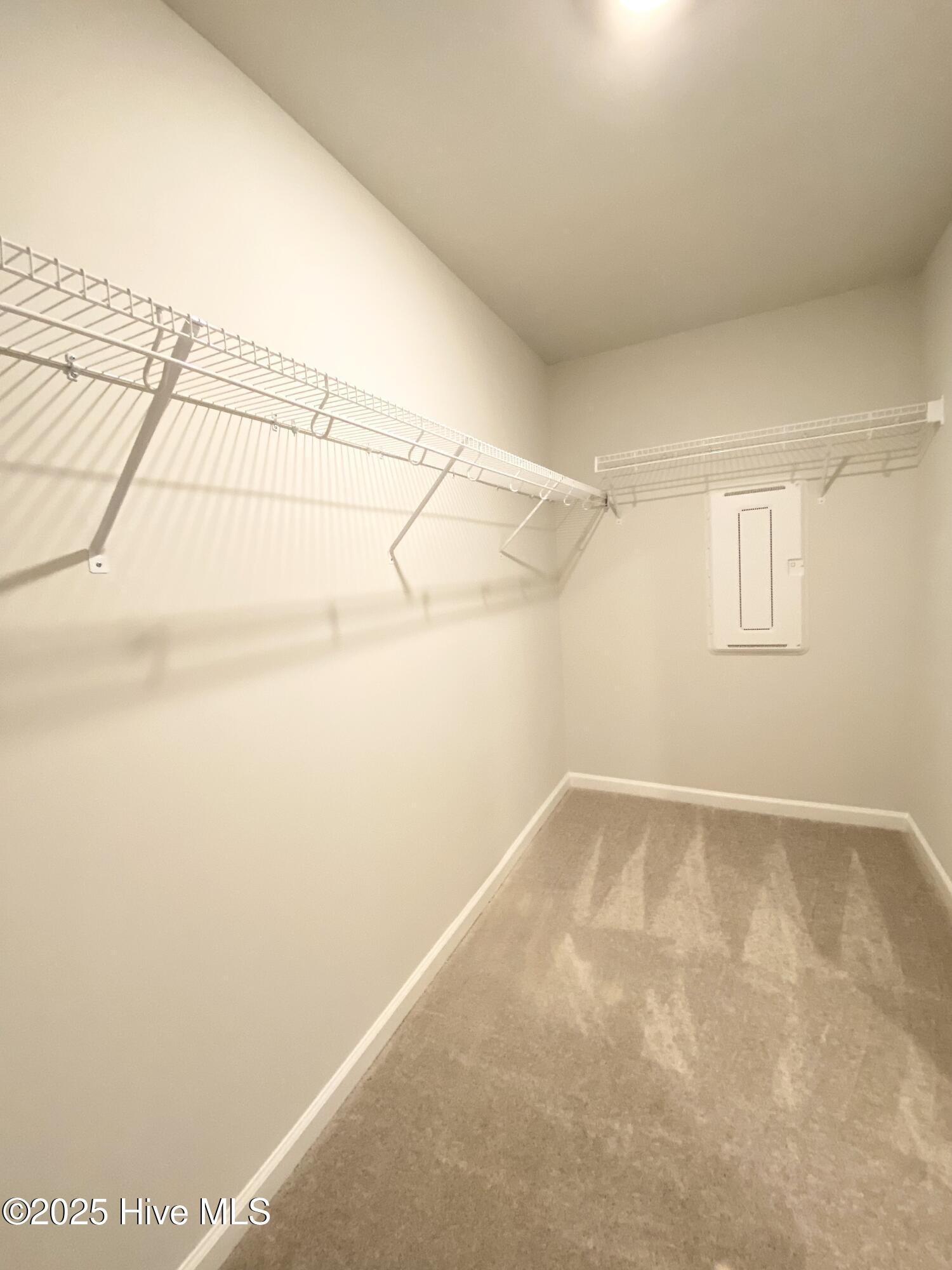 326 Ladyfish Loop Lot 26 Atlanta Property Photo 22