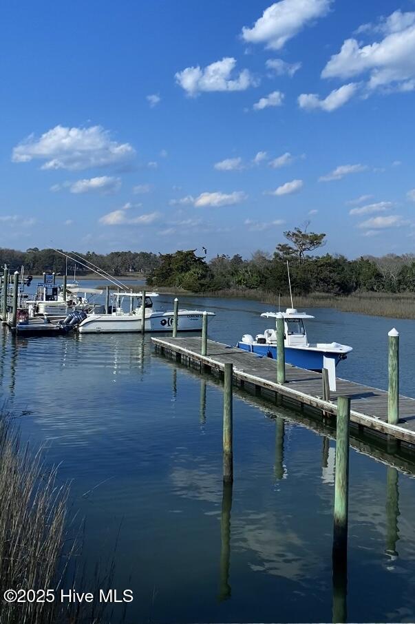 326 Ladyfish Loop Lot 26 Atlanta Property Photo 42