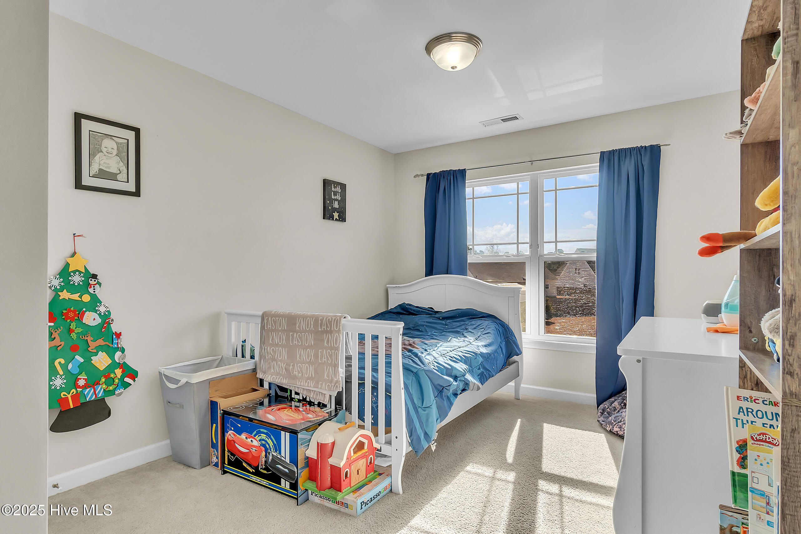 104 Rose Trellis Way Property Photo 39