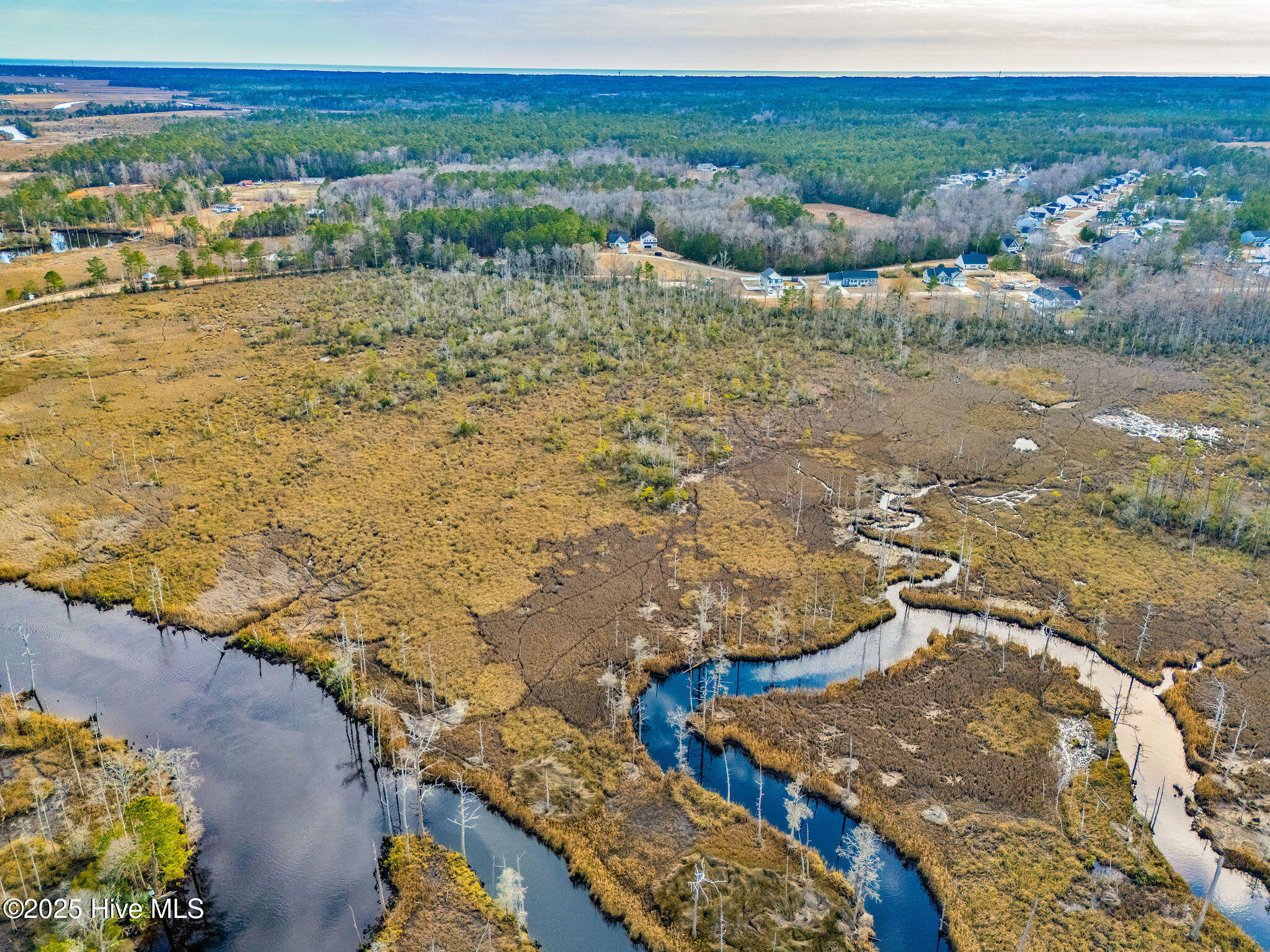 326 Levies Landing Property Photo 5