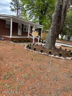 120 Hillview Street Property Photo 10