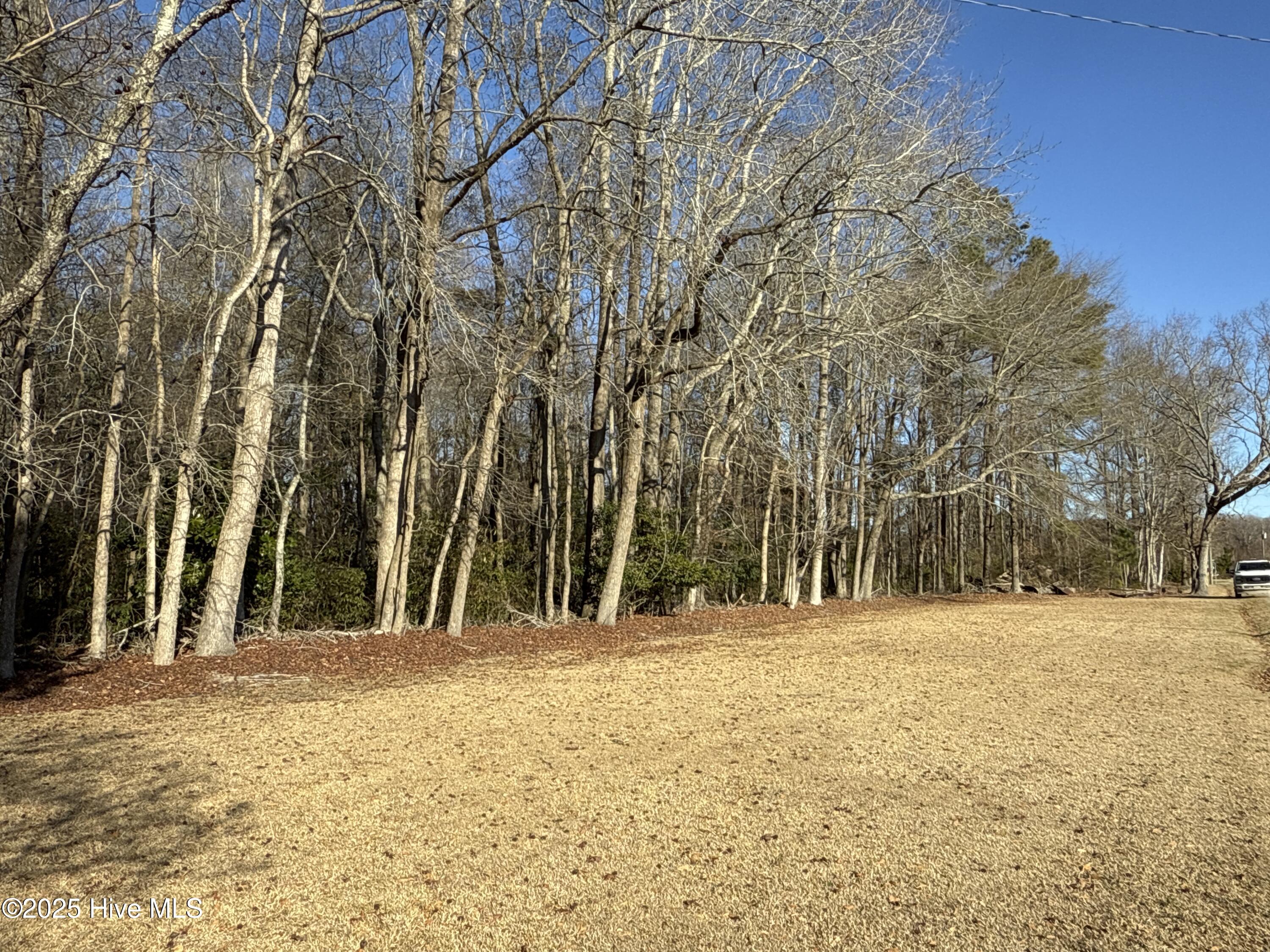 717 Mill Hole Road Property Photo 4