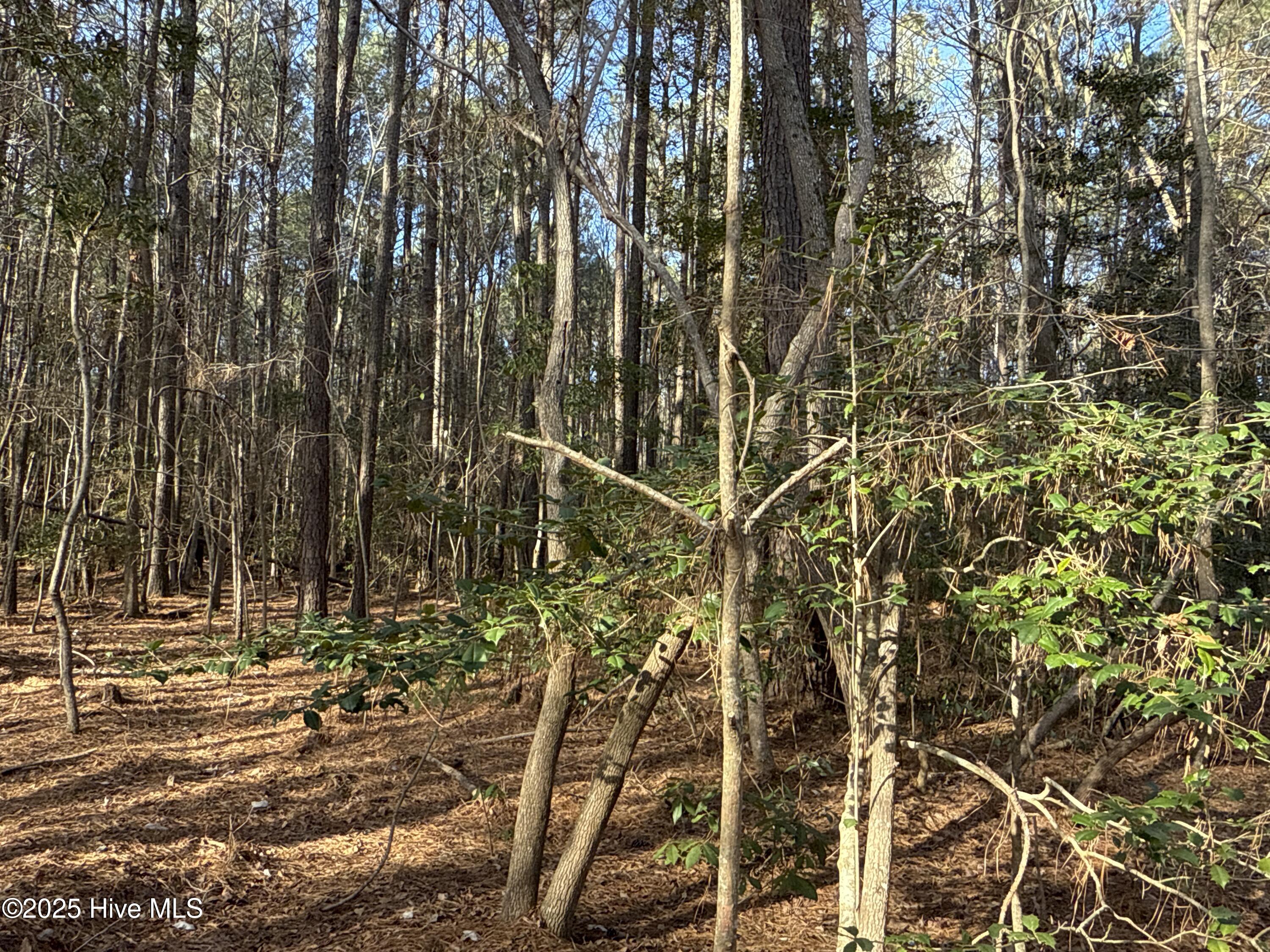 717 Mill Hole Road Property Photo 10