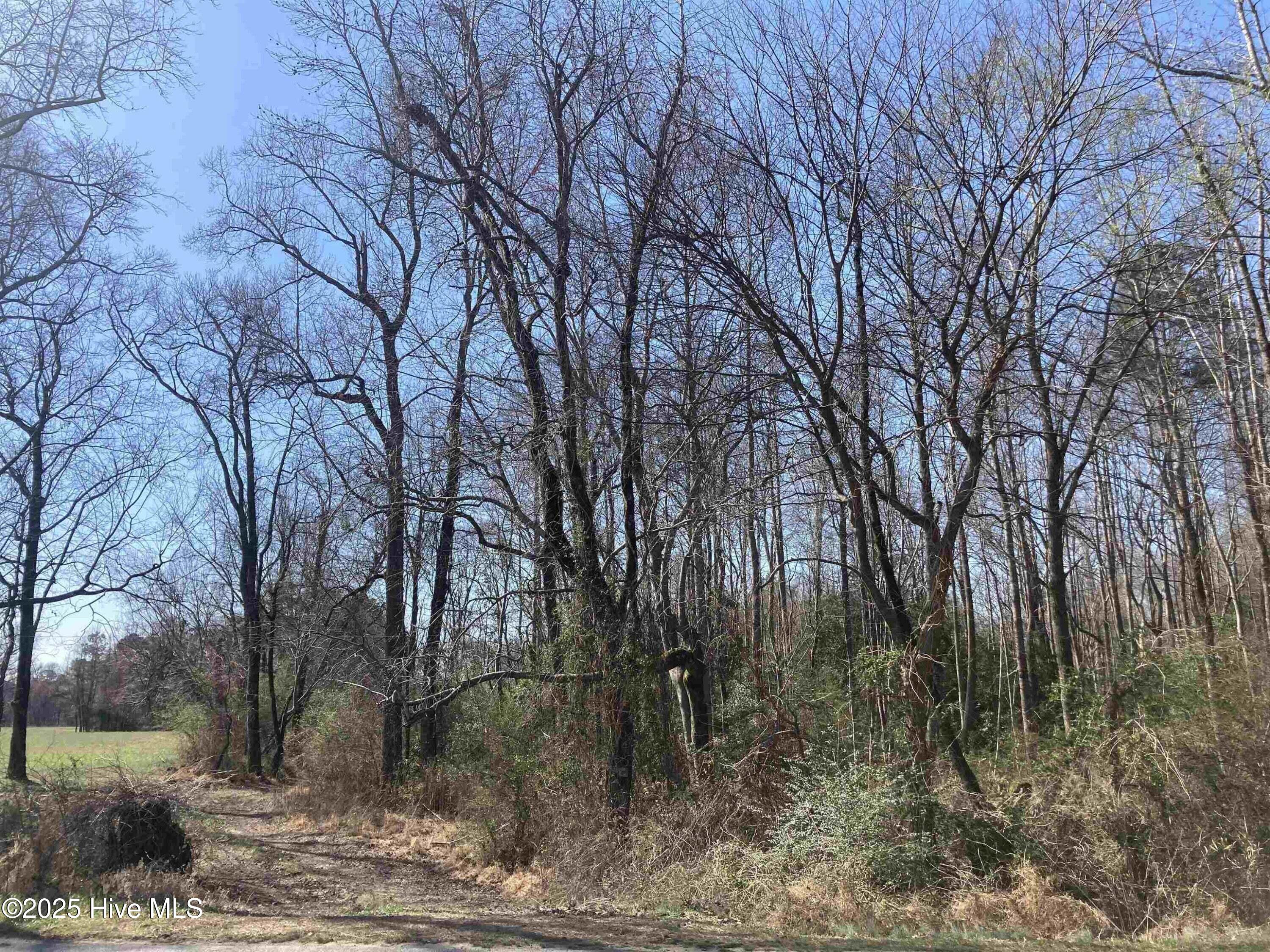 0 Oak Forest Road Property Photo 4