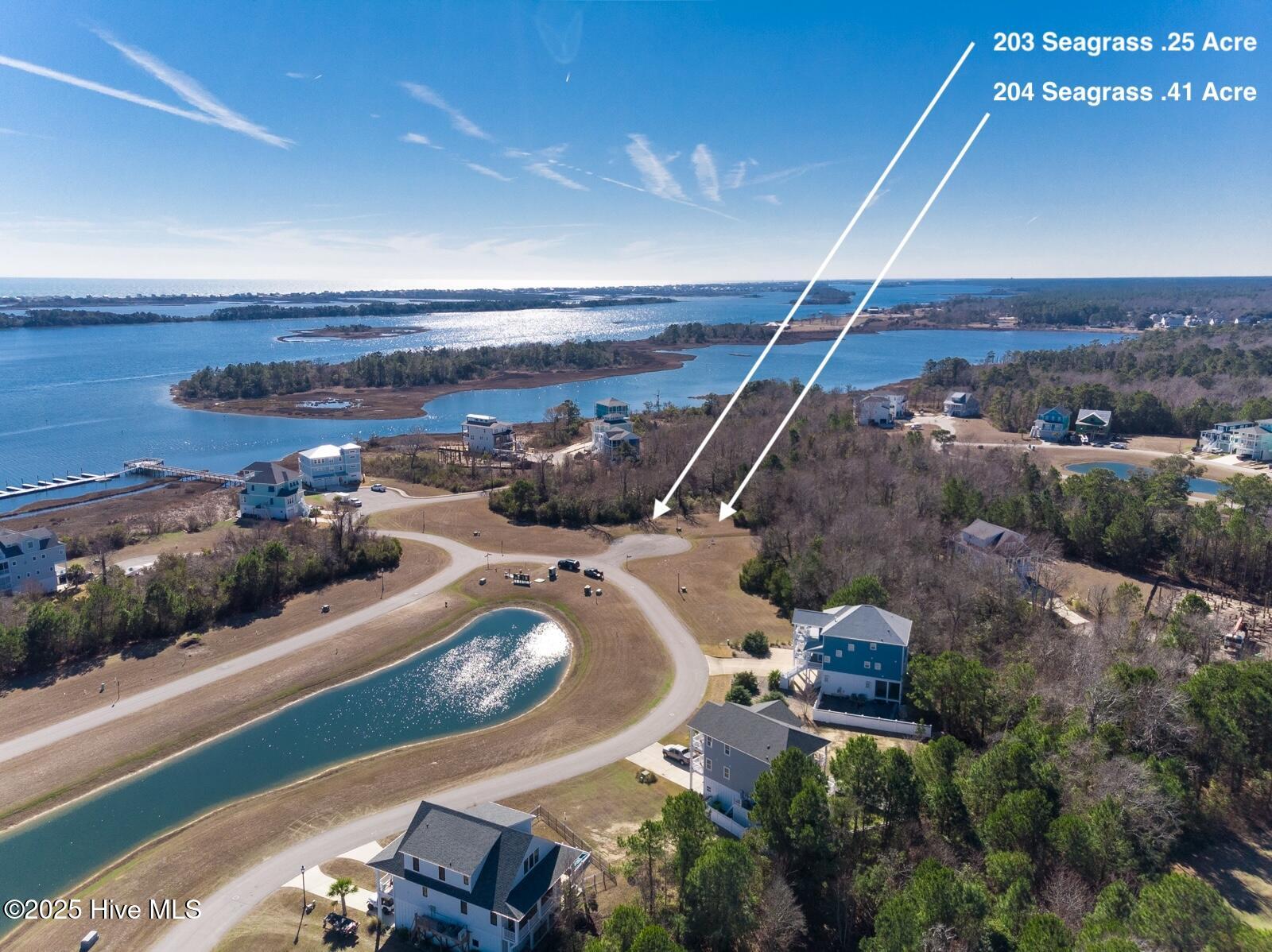 203 Seagrass Court Property Photo 1