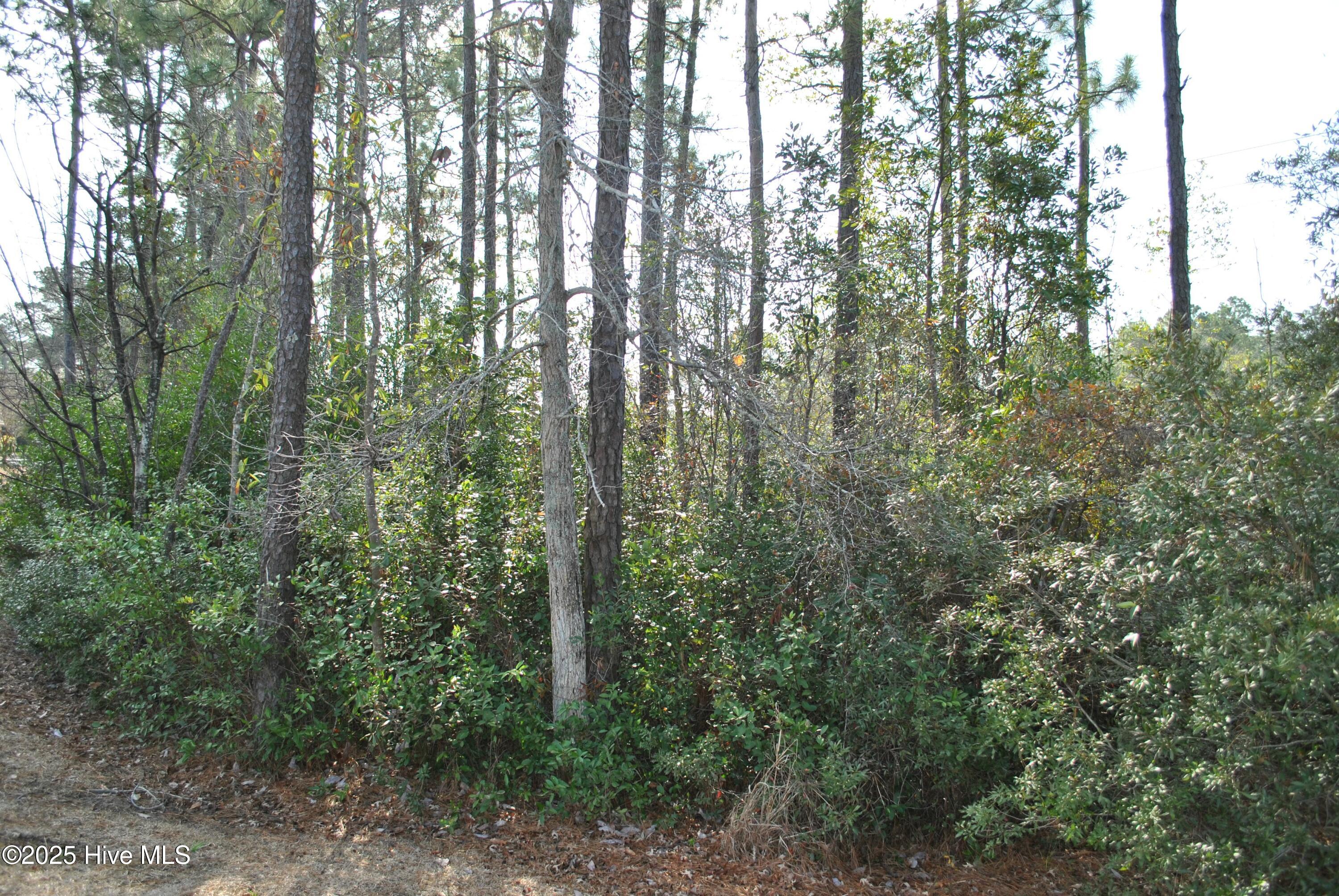 1091 Bridgeport Way Property Photo 23