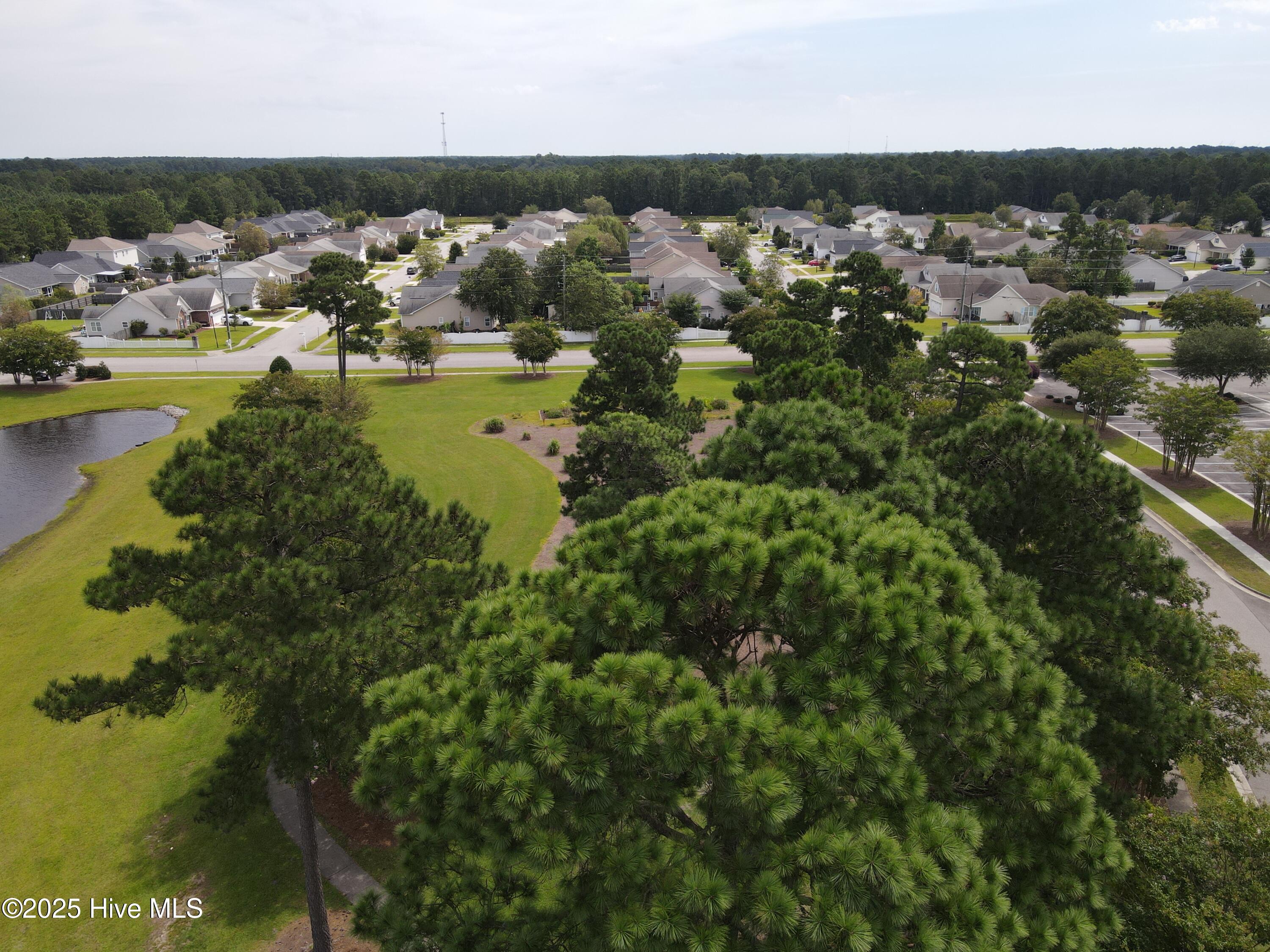 1091 Bridgeport Way Property Photo 35