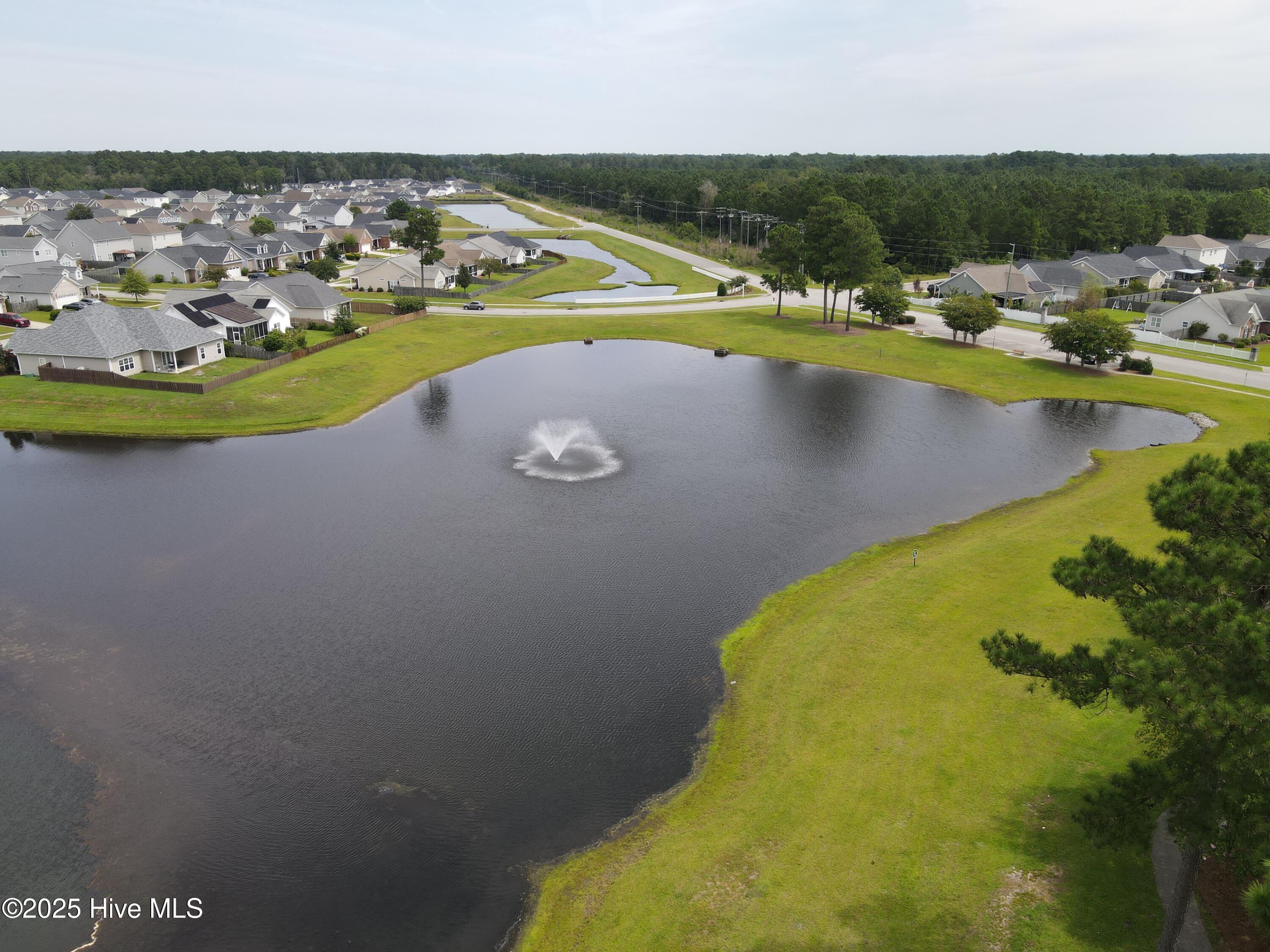 1091 Bridgeport Way Property Photo 38