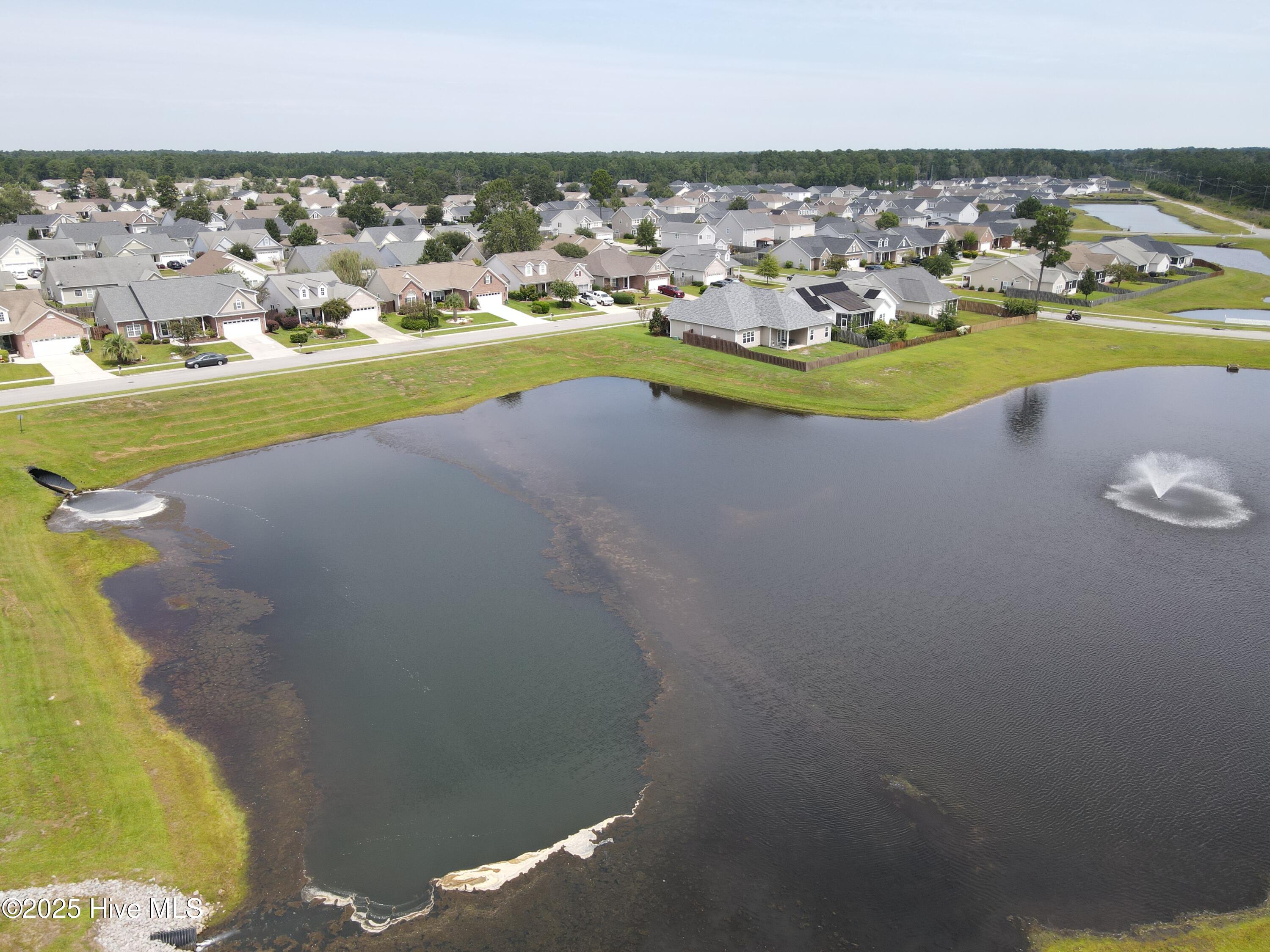 1091 Bridgeport Way Property Photo 39