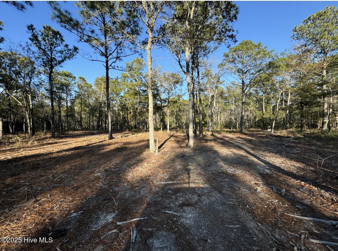 4551 Maple Hill Road Property Photo 3