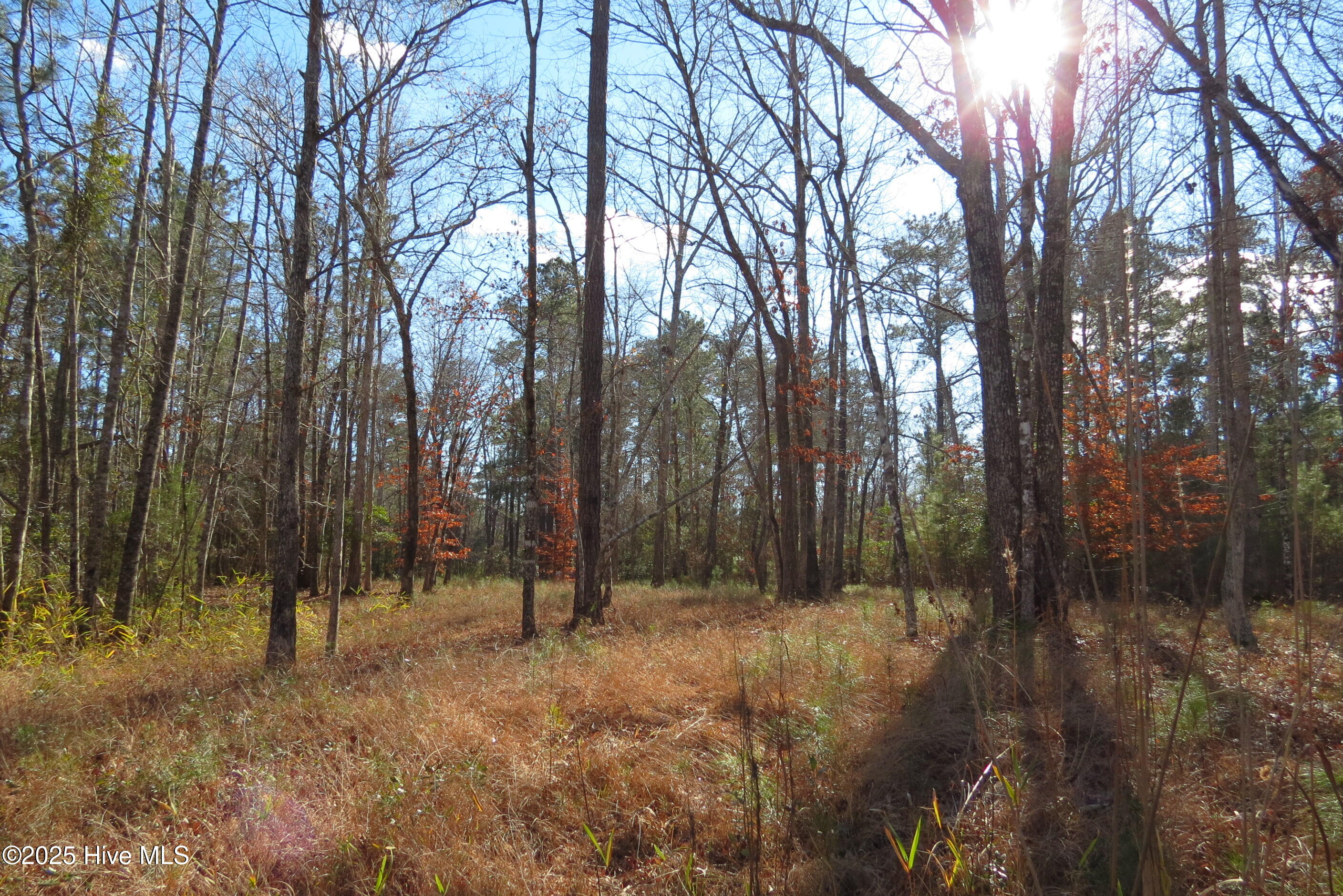 109 Winding Creek Drive Property Photo