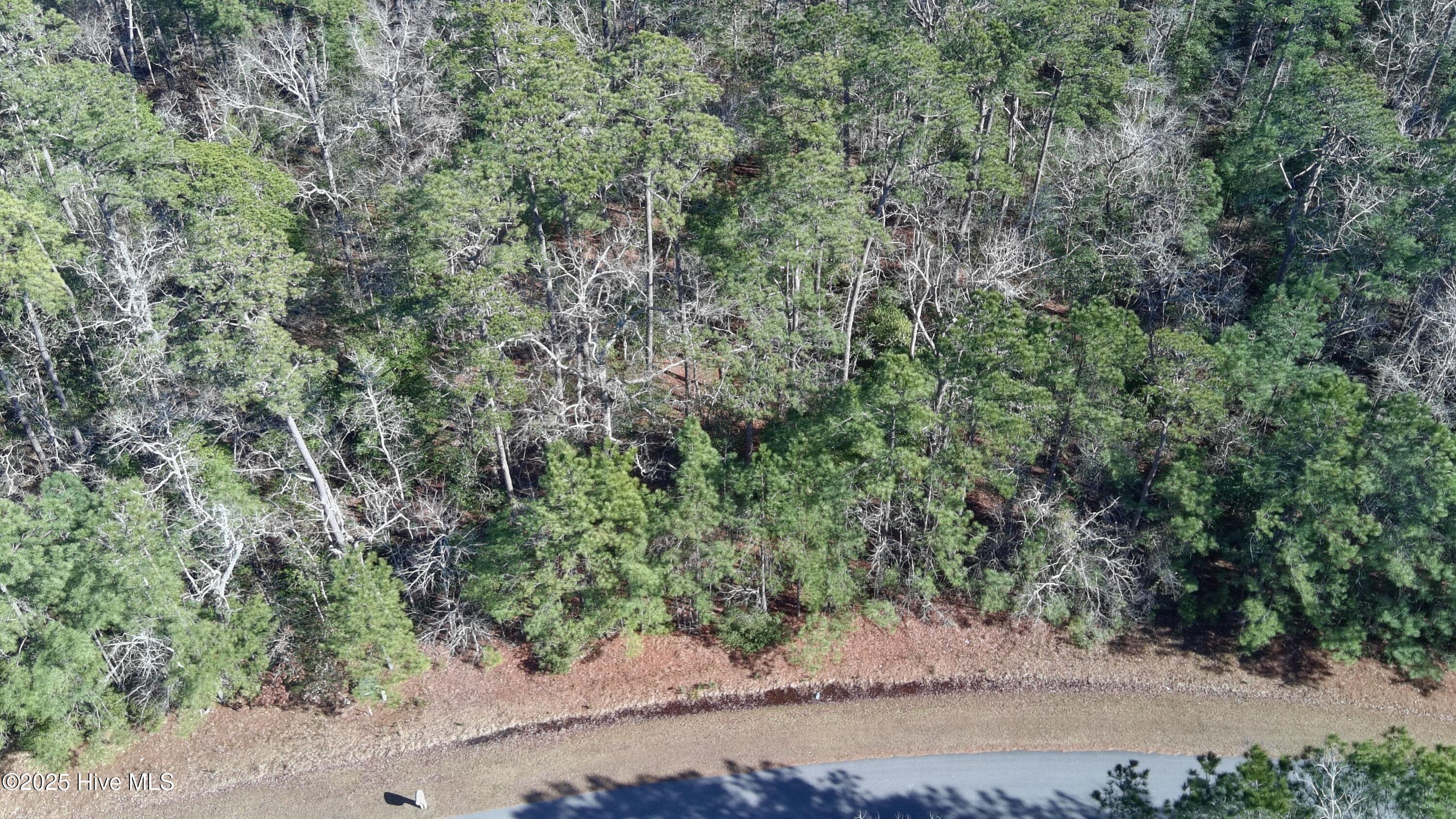 124 Little Creek Drive Property Photo 1