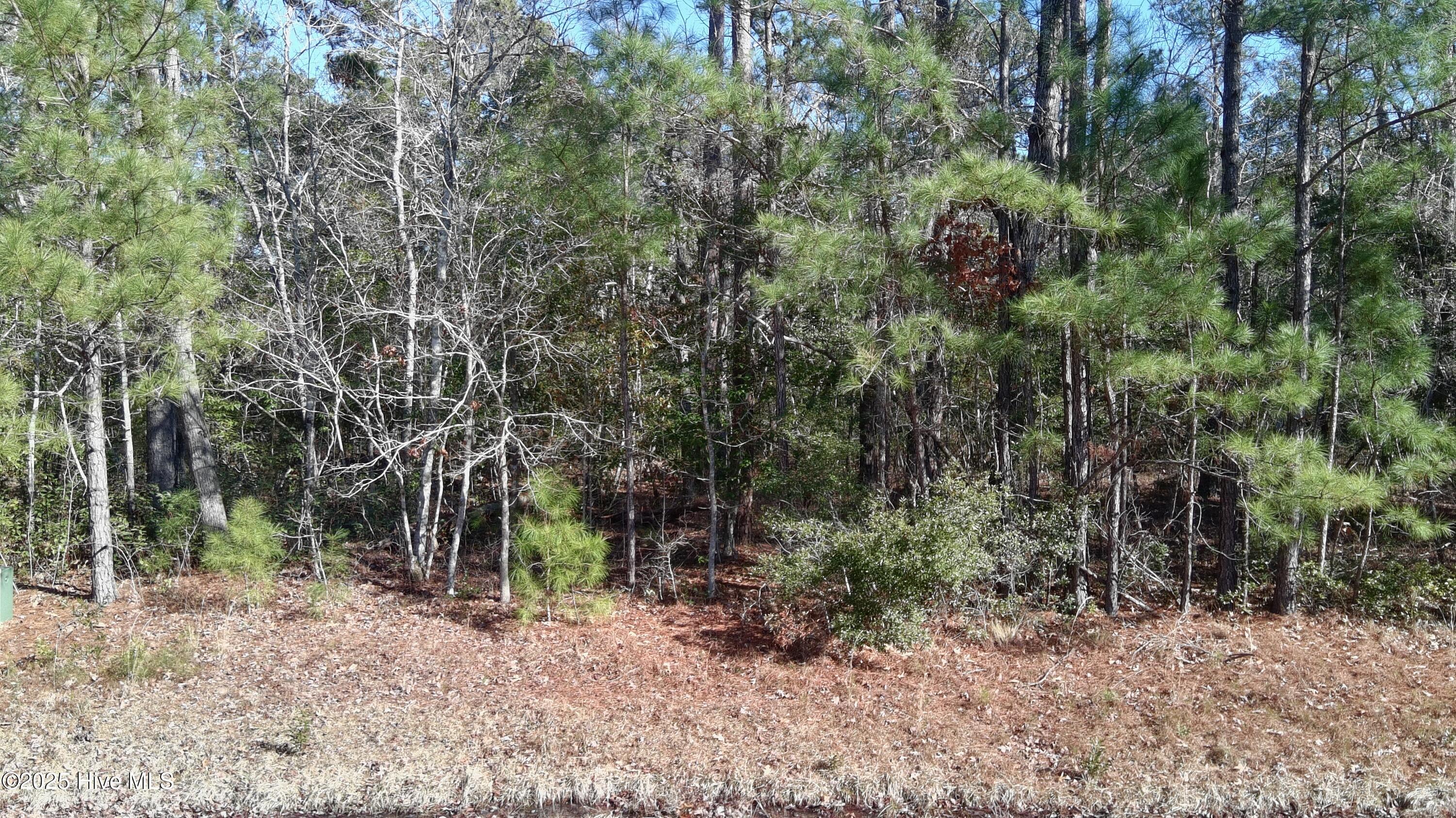 124 Little Creek Drive Property Photo 2