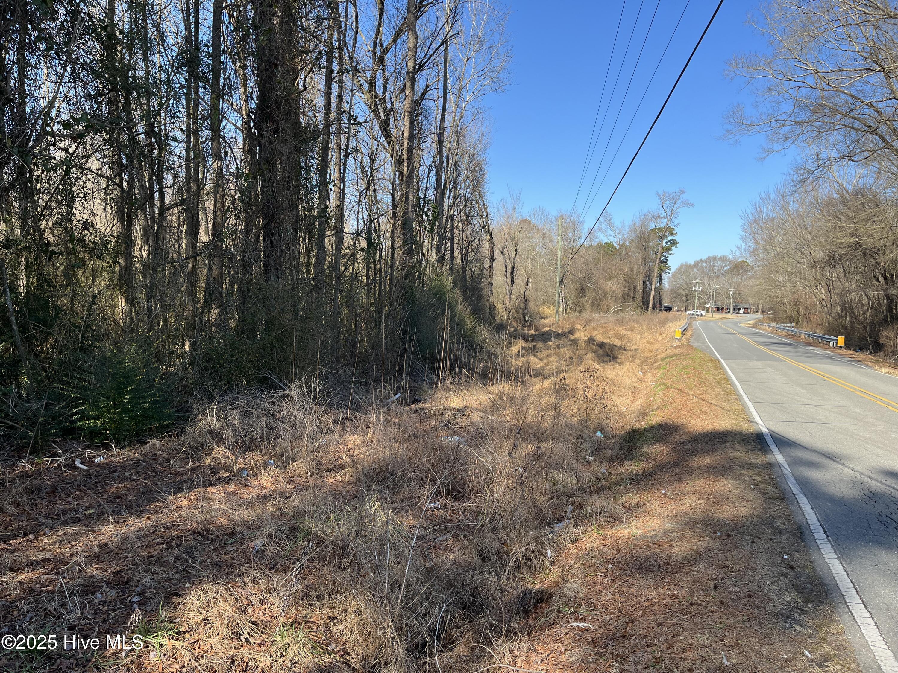Tbd Wagon Ford Road Property Photo 3