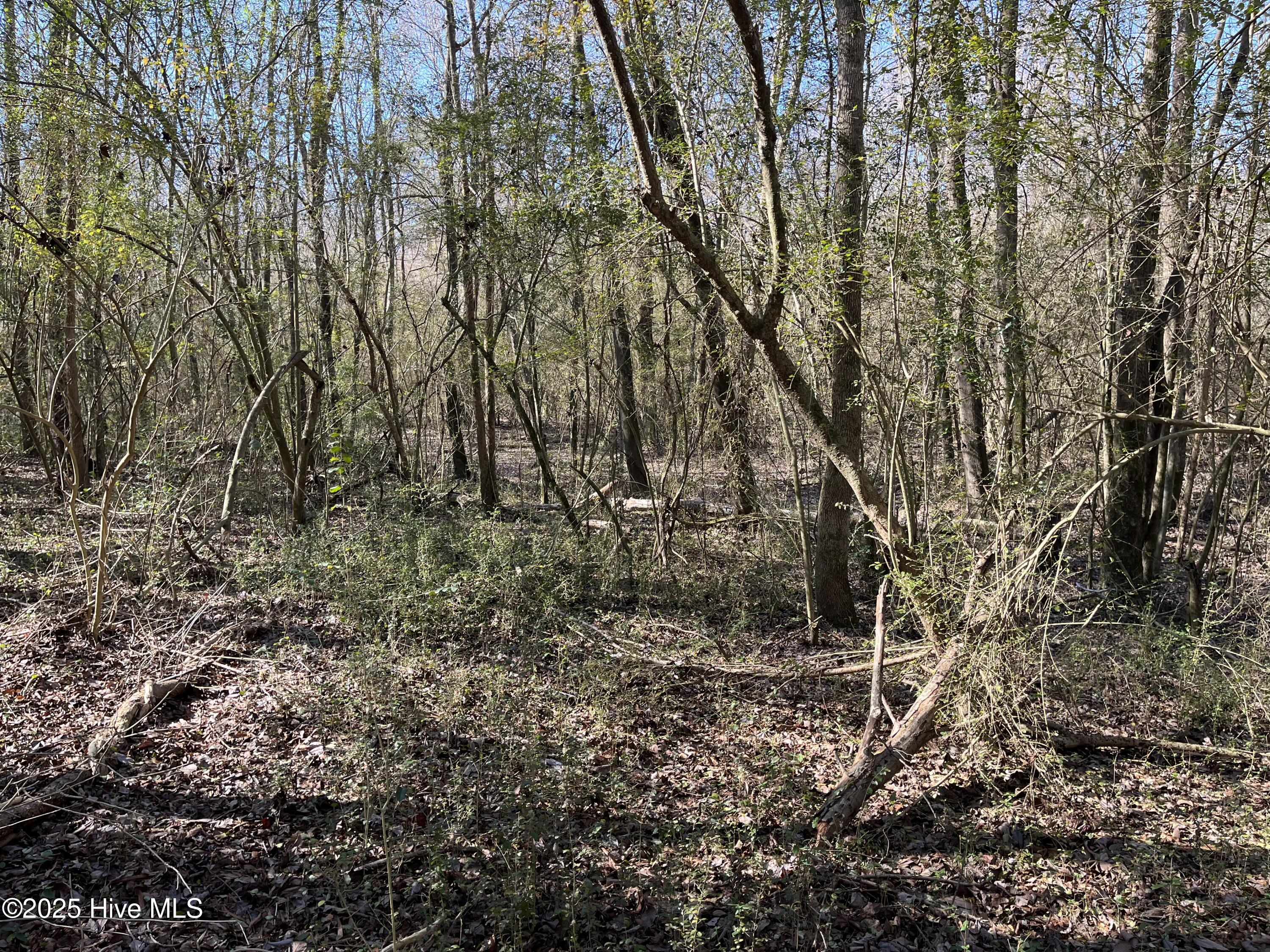 Tbd Wagon Ford Road Property Photo 4