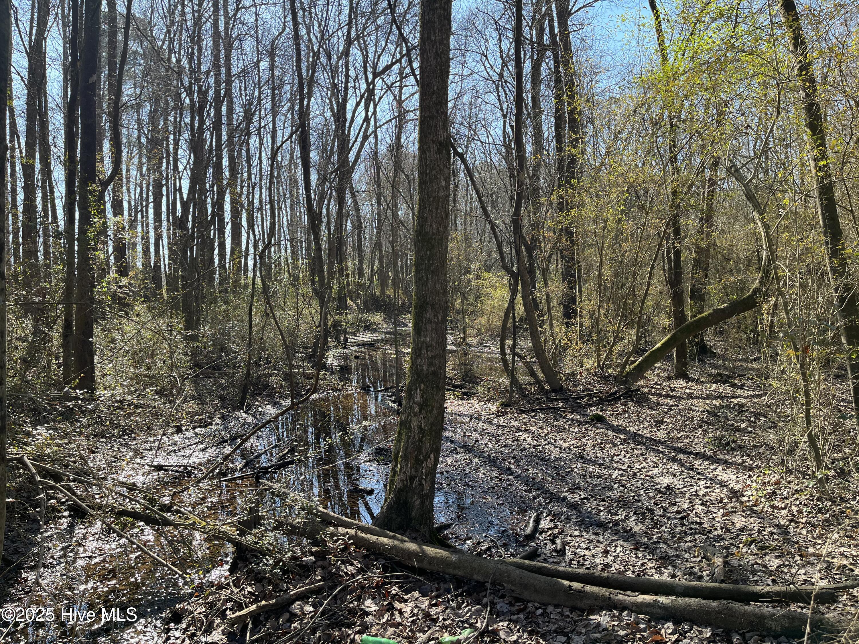 Tbd Wagon Ford Road Property Photo 5