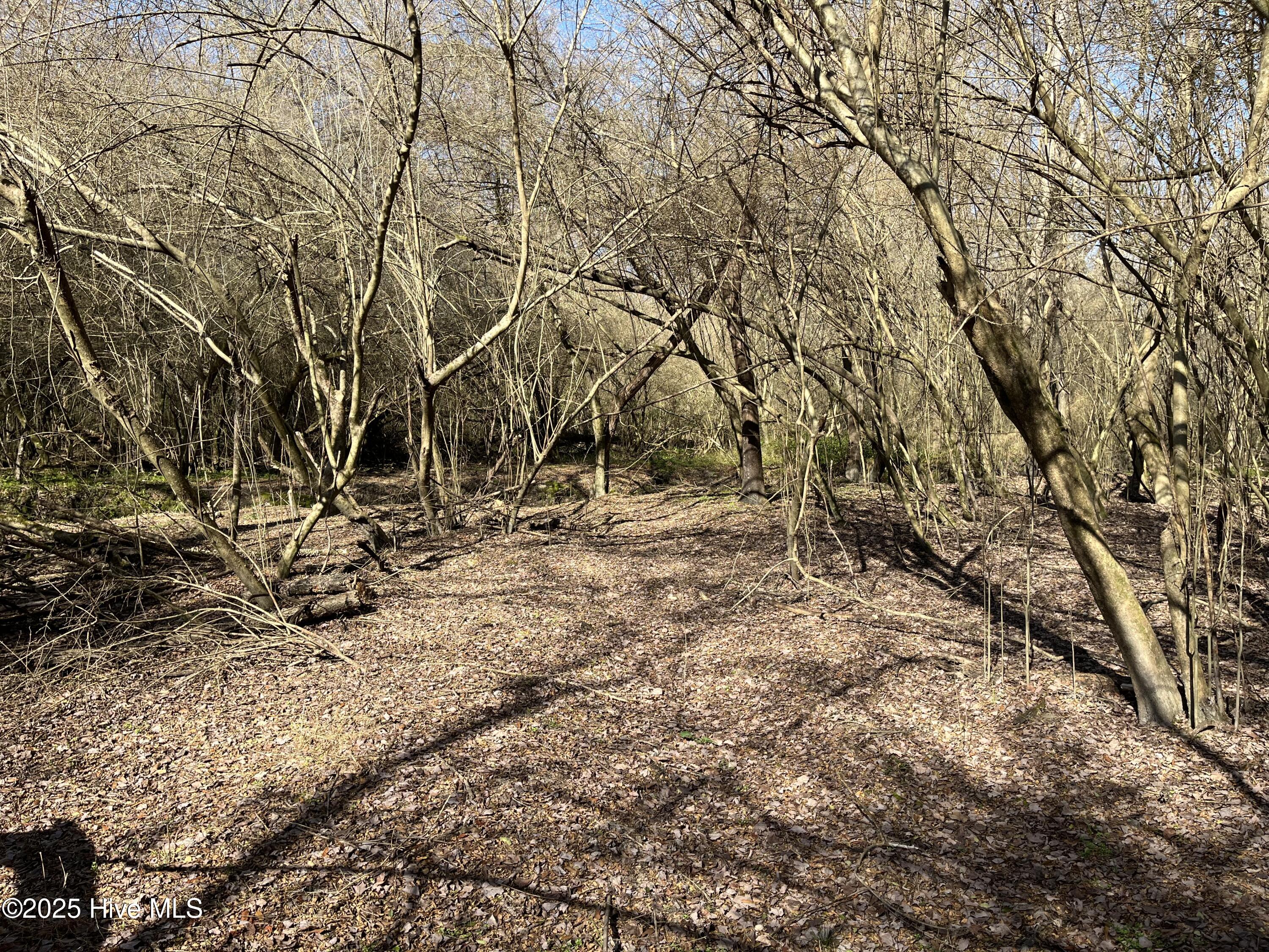 Tbd Wagon Ford Road Property Photo 6
