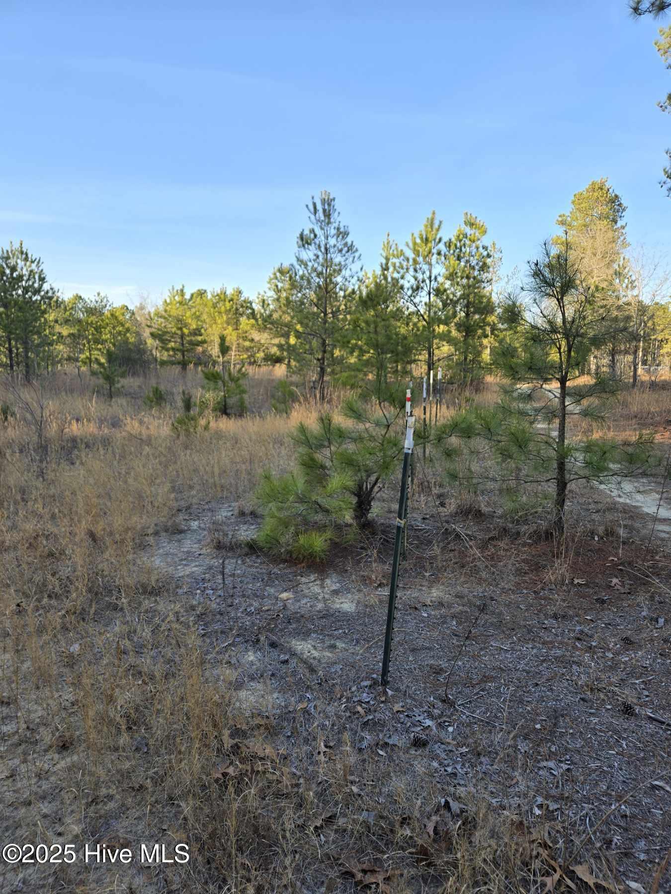 Tbd Dirt Road Property Photo