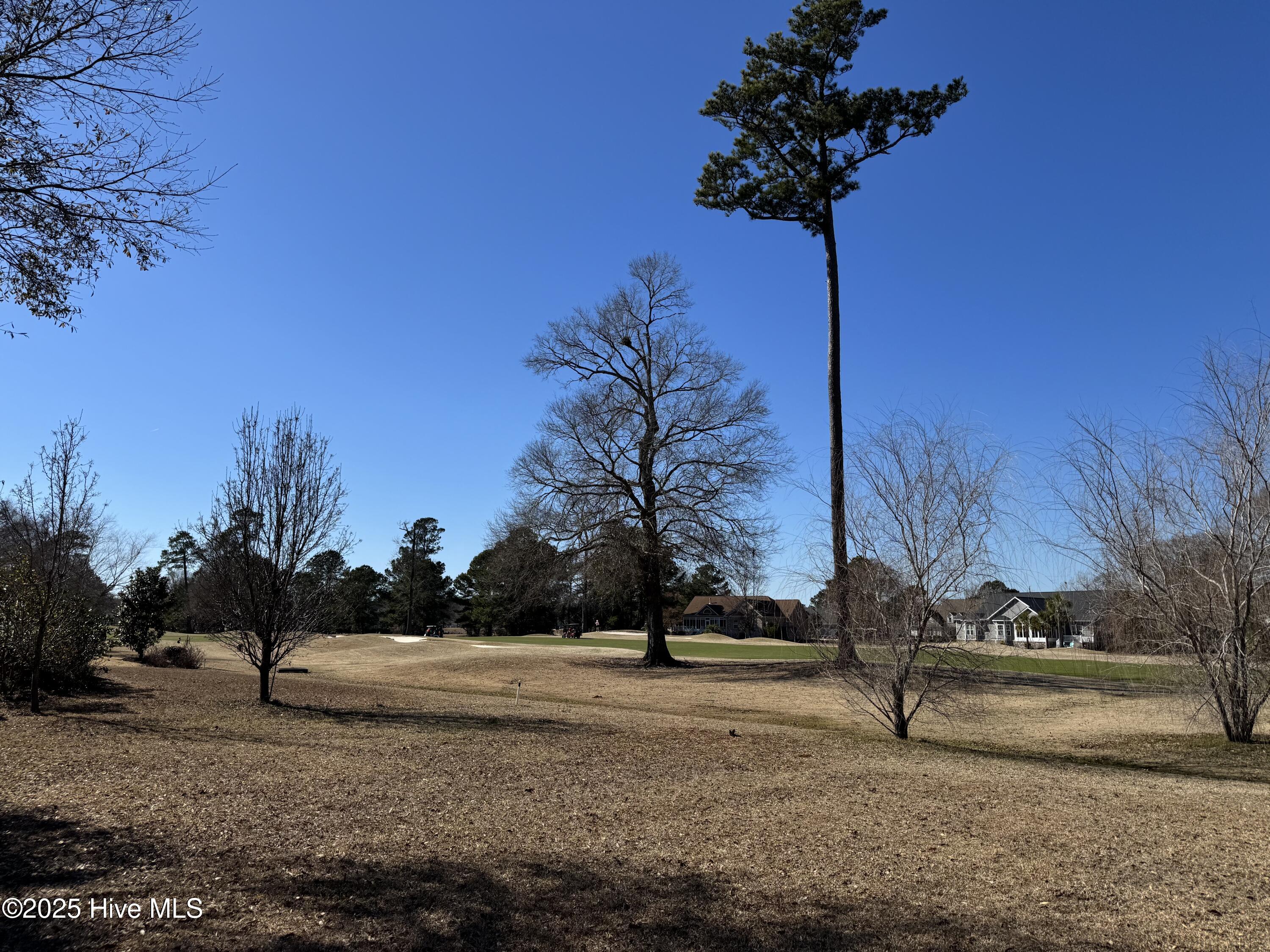 1007 Beauvoir Drive Property Photo 4