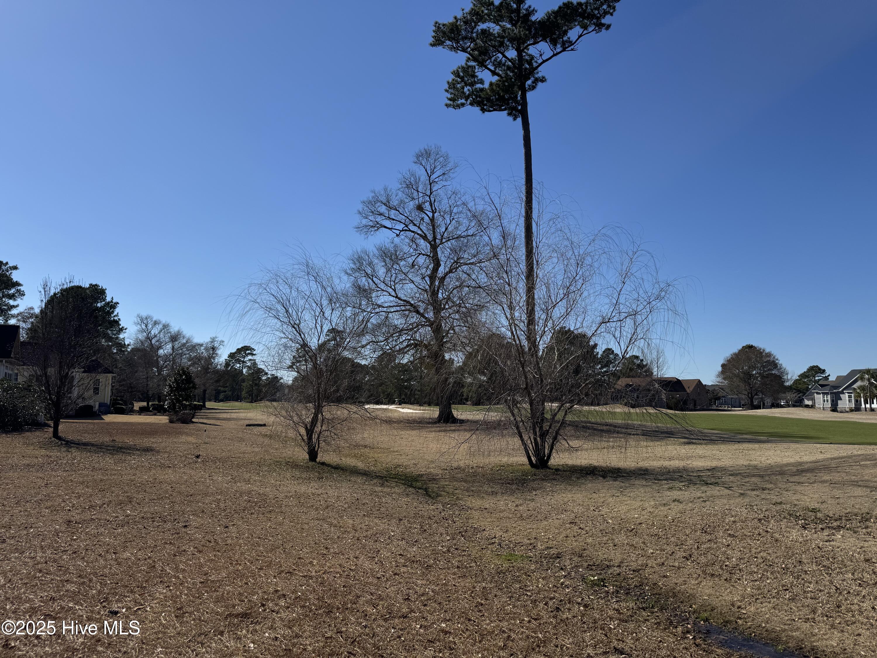 1007 Beauvoir Drive Property Photo 5