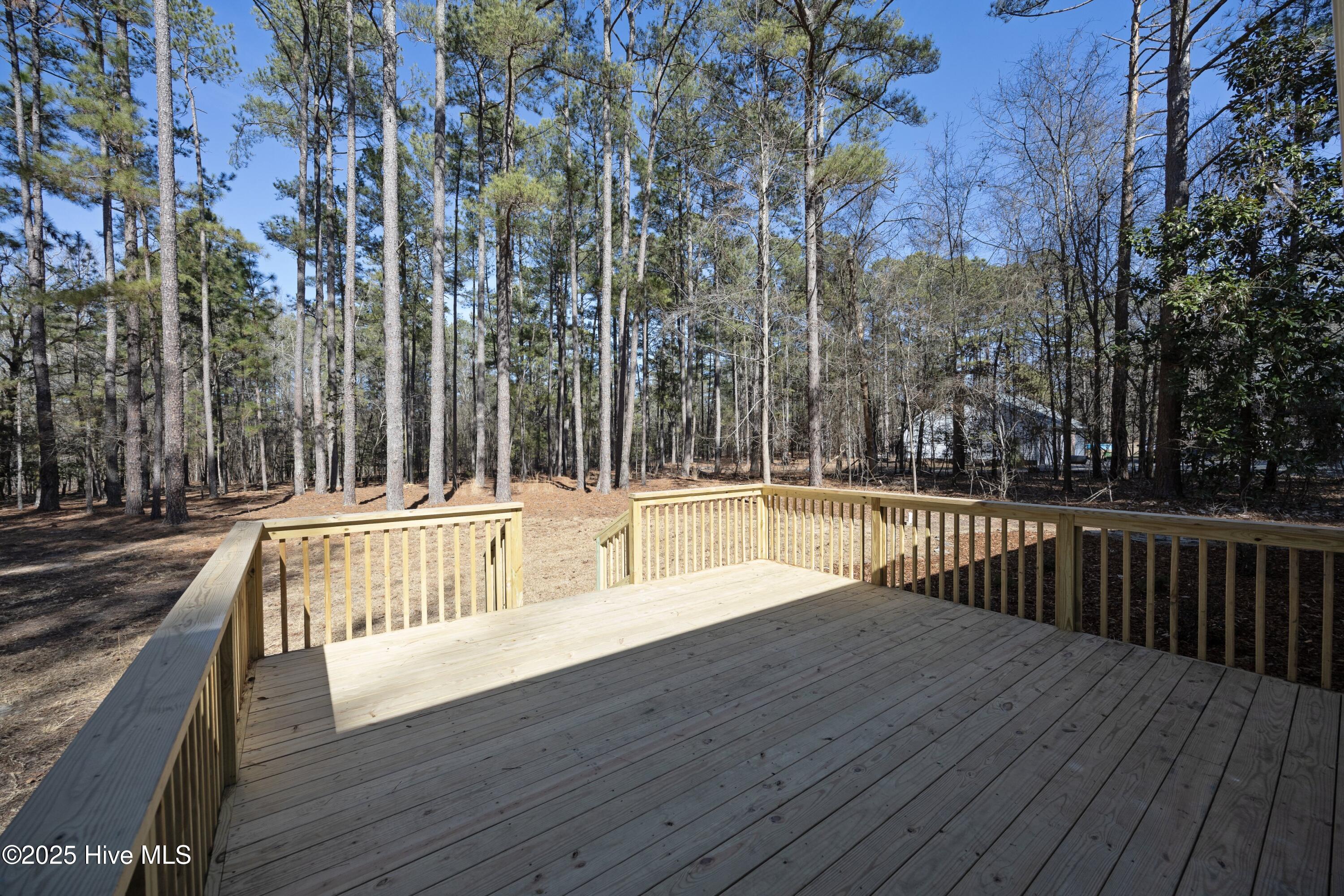 144 Birdnest Court Property Photo 29