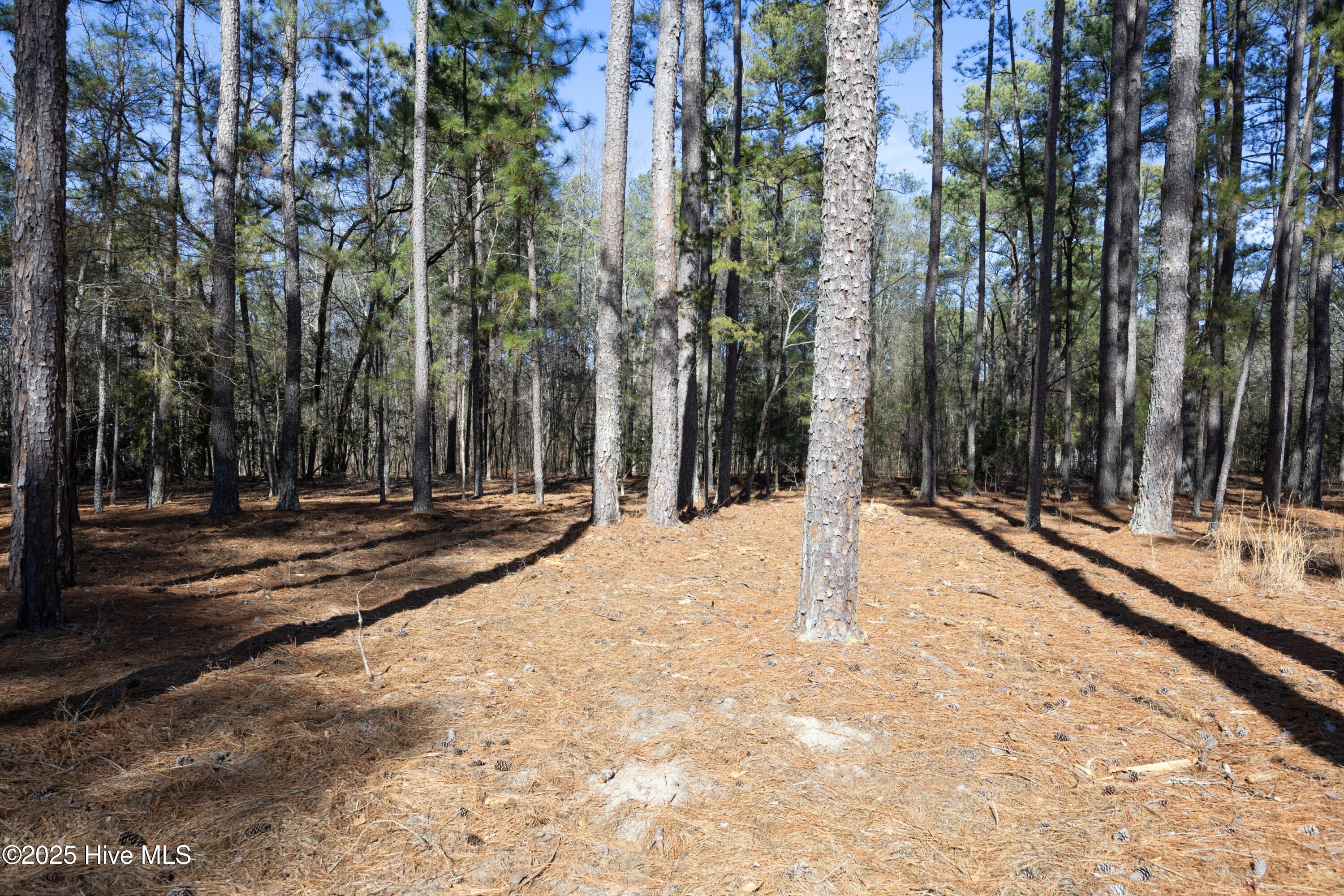 144 Birdnest Court Property Photo 32