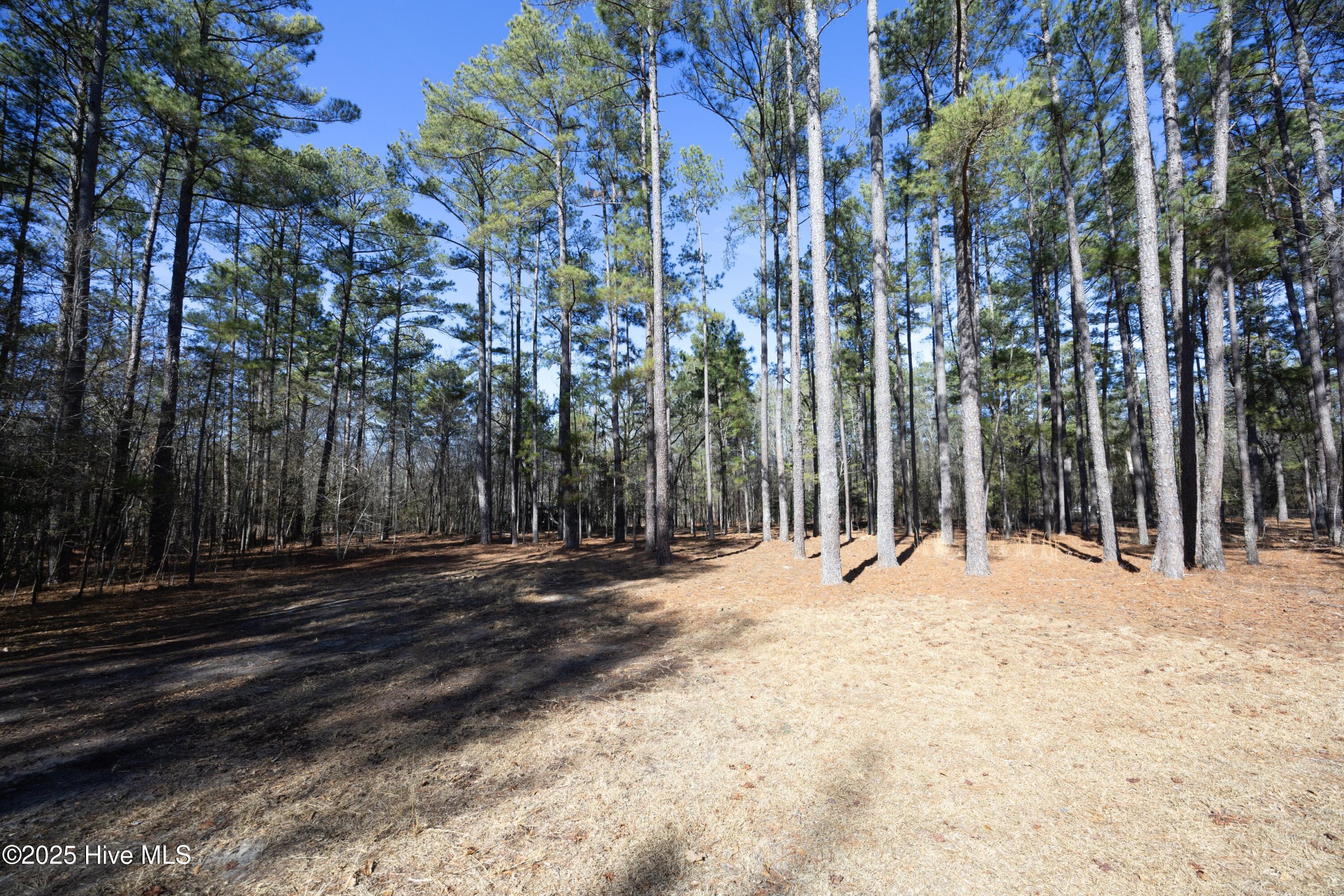 144 Birdnest Court Property Photo 33