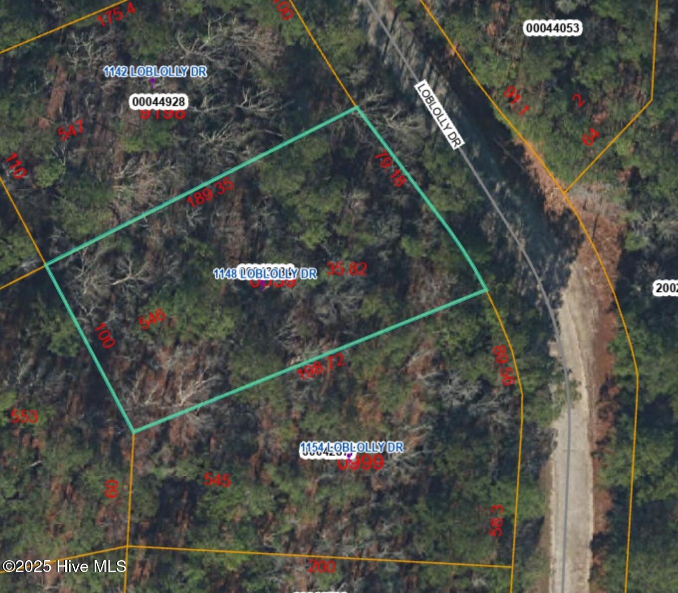 1148 Loblolly Drive Property Photo 1