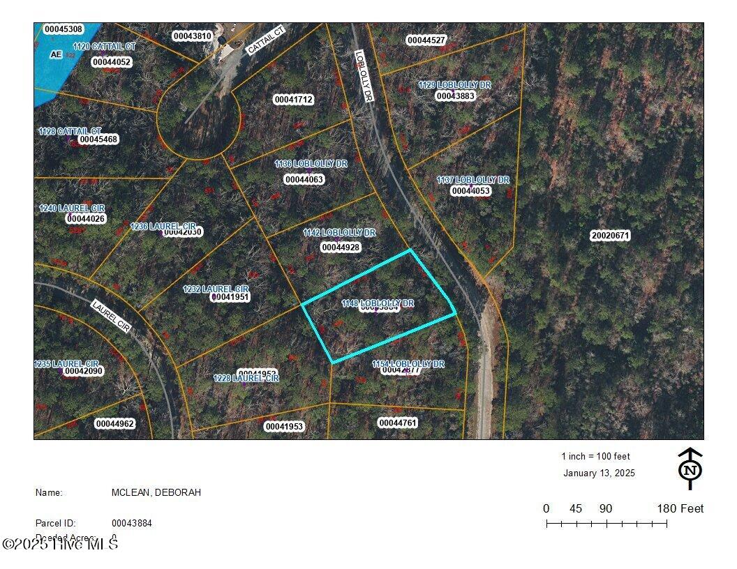 1148 Loblolly Drive Property Photo 3