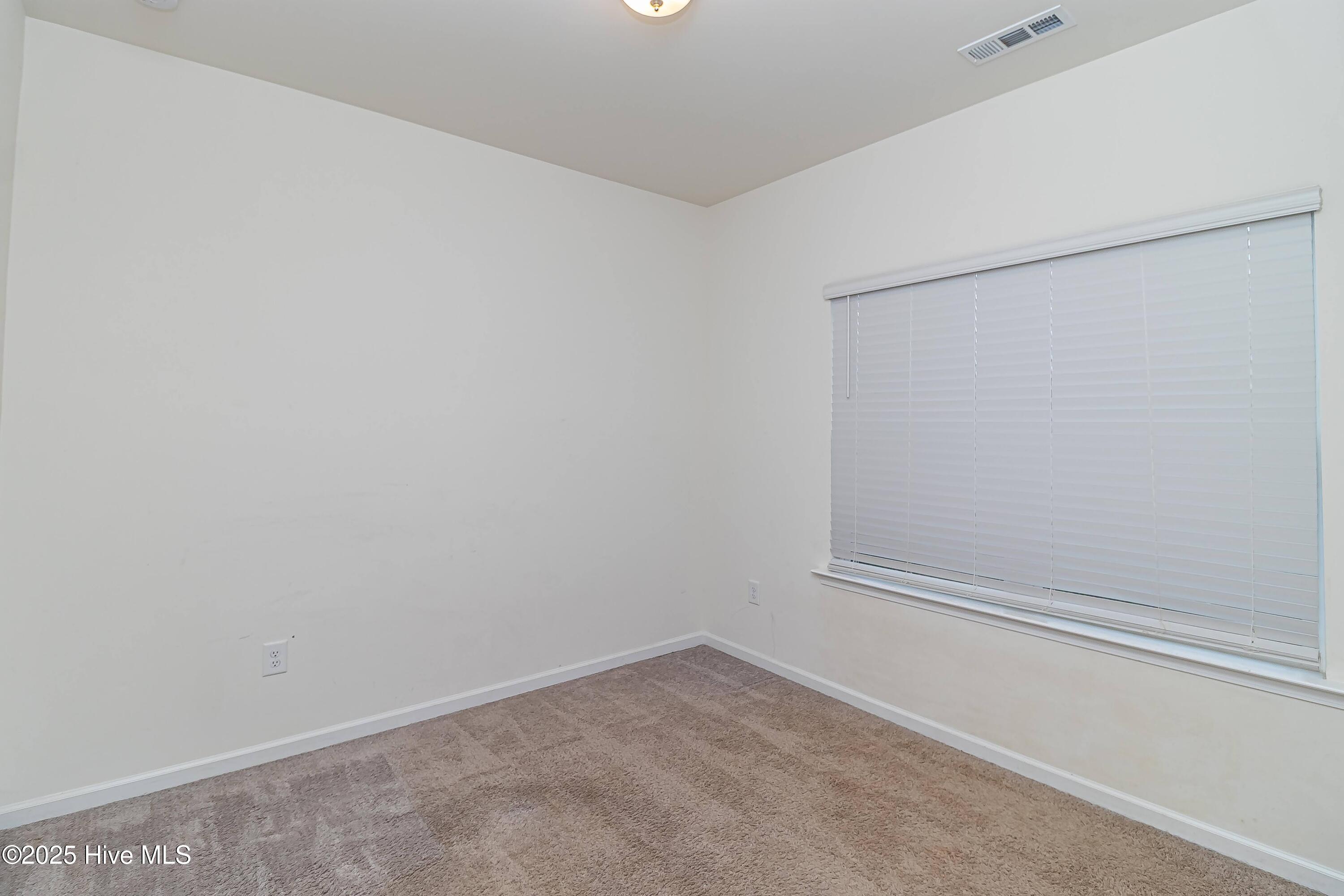 312 Settlers Pointe Drive Property Photo 12