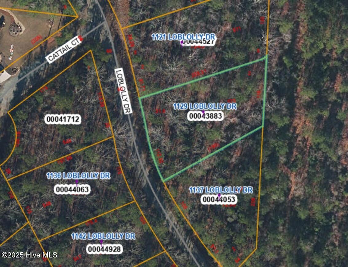 1129 Loblolly Drive Property Photo 1