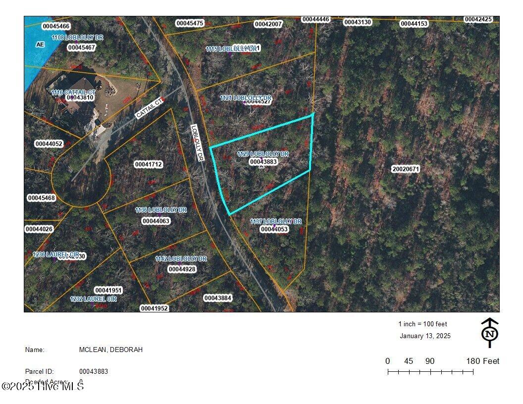 1129 Loblolly Drive Property Photo 3