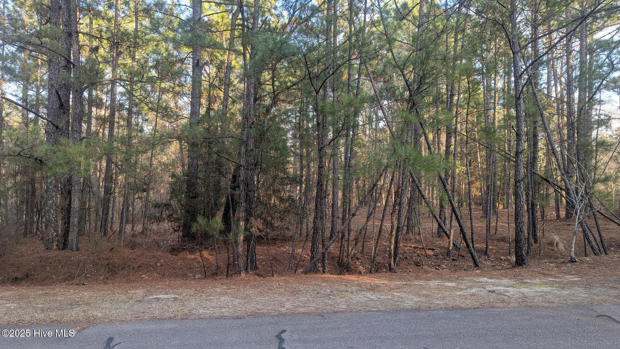 363 Chestnut Drive Property Photo 1