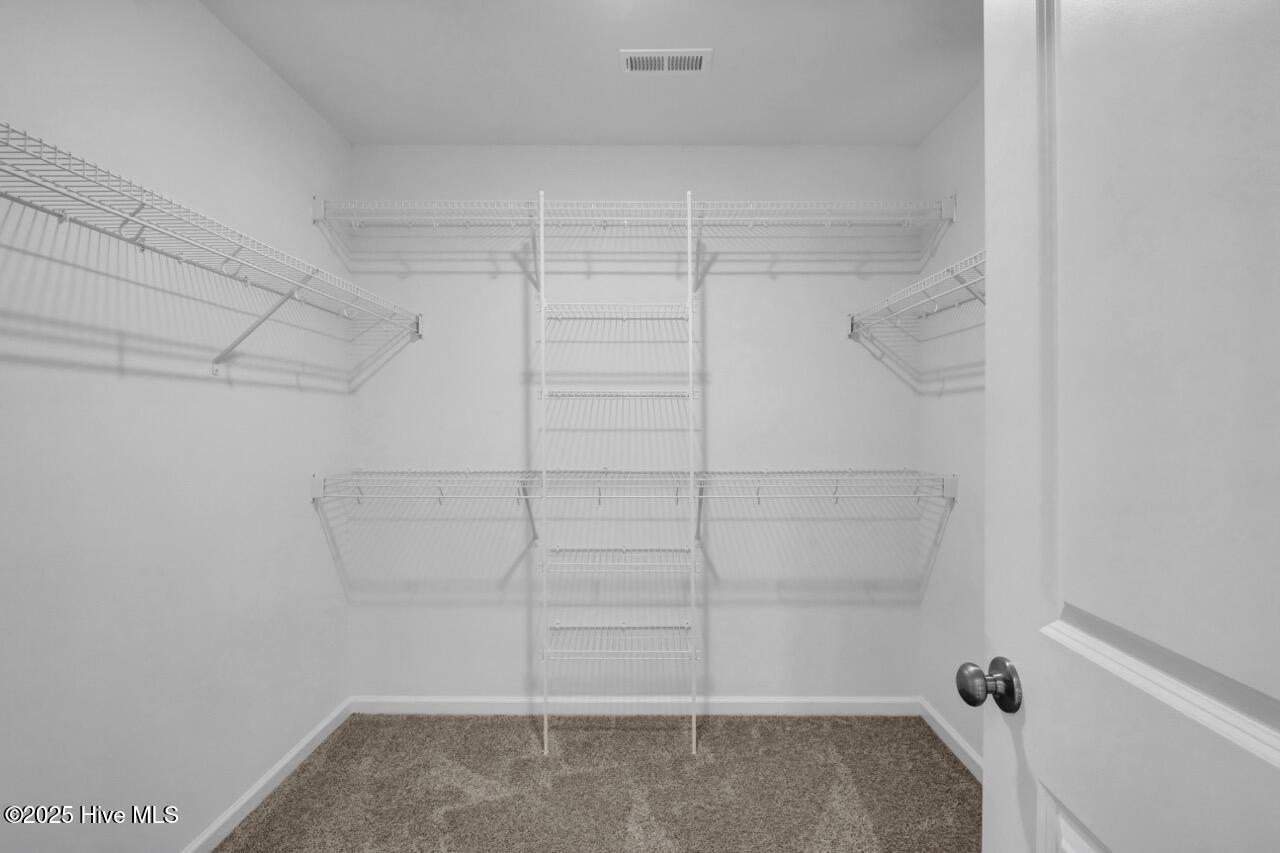 847 Red Sky Drive Property Photo 19