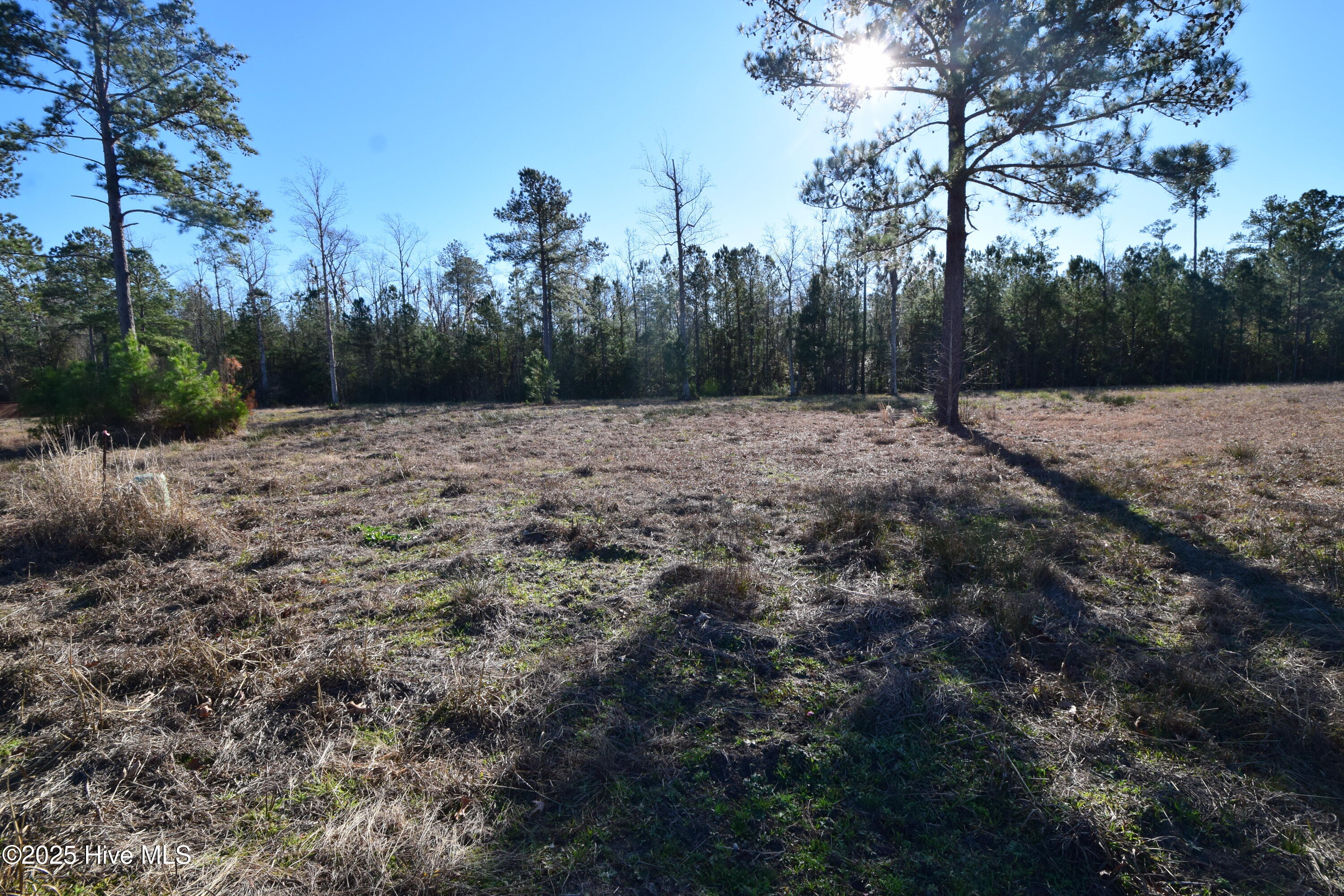 0 Warbler Drive Property Photo 4