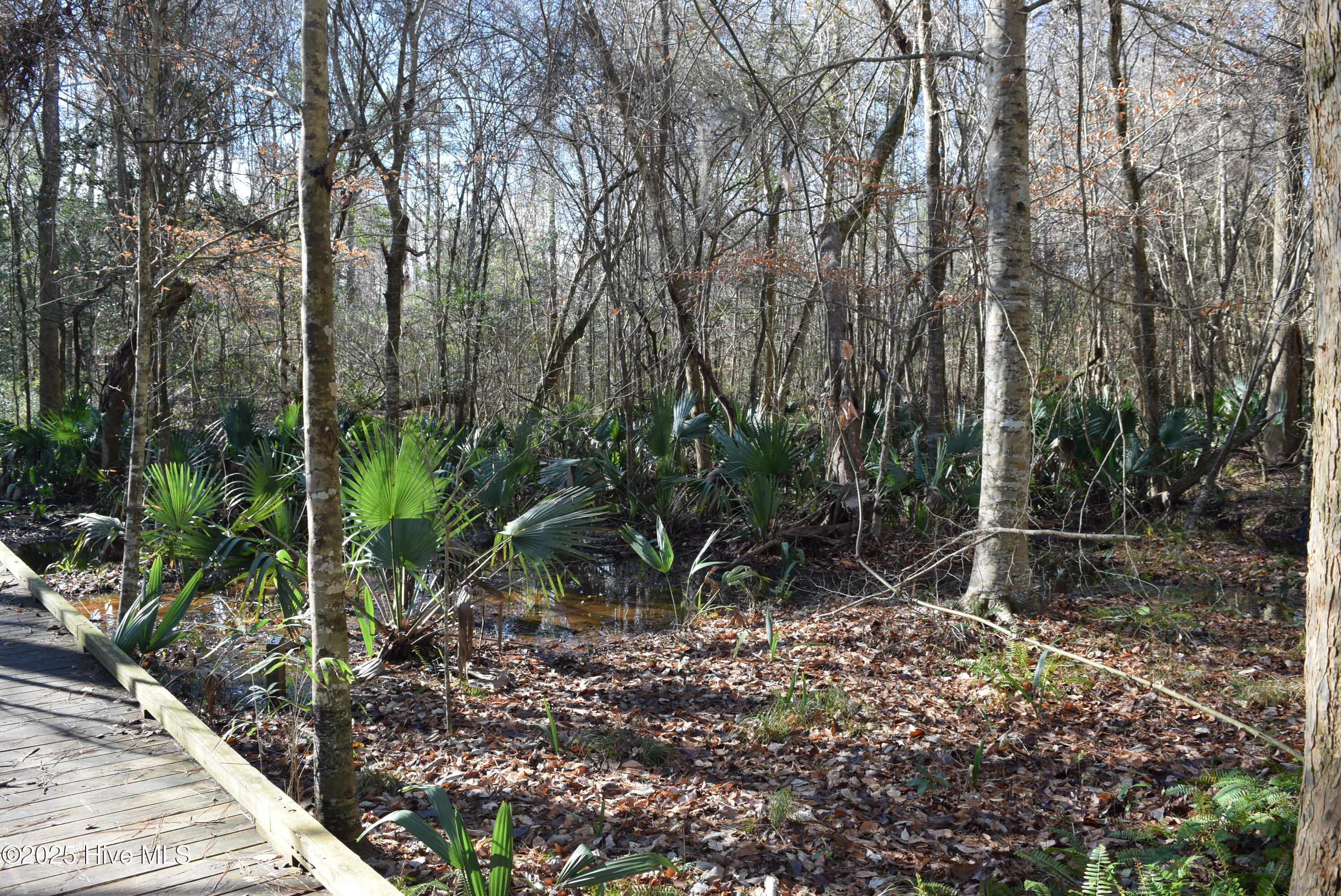 0 Warbler Drive Property Photo 27