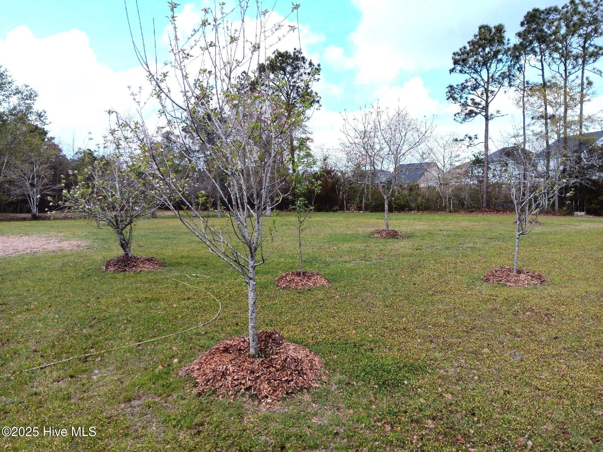 7010 Pinecliff Drive Property Photo 26