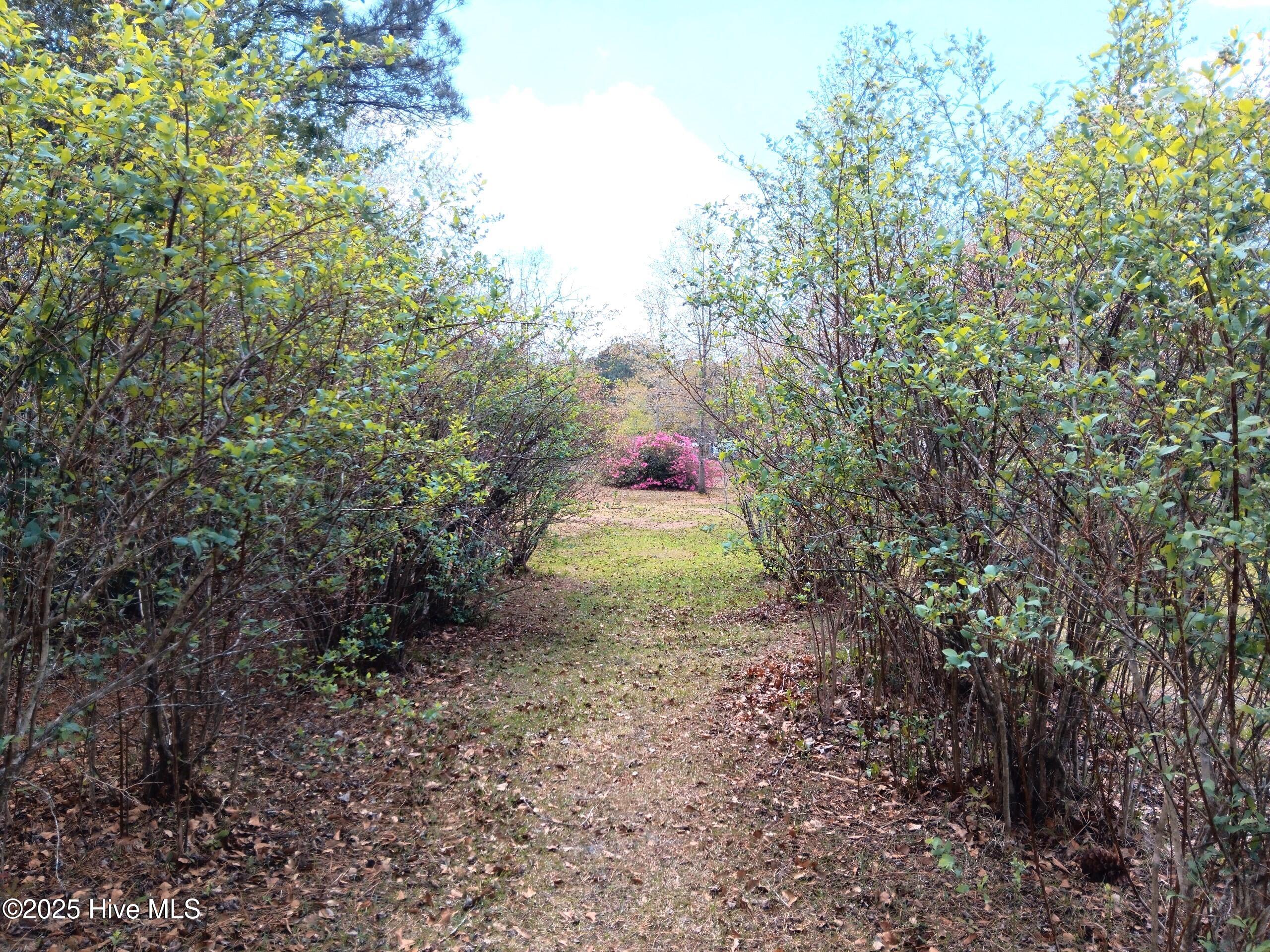 7010 Pinecliff Drive Property Photo 29