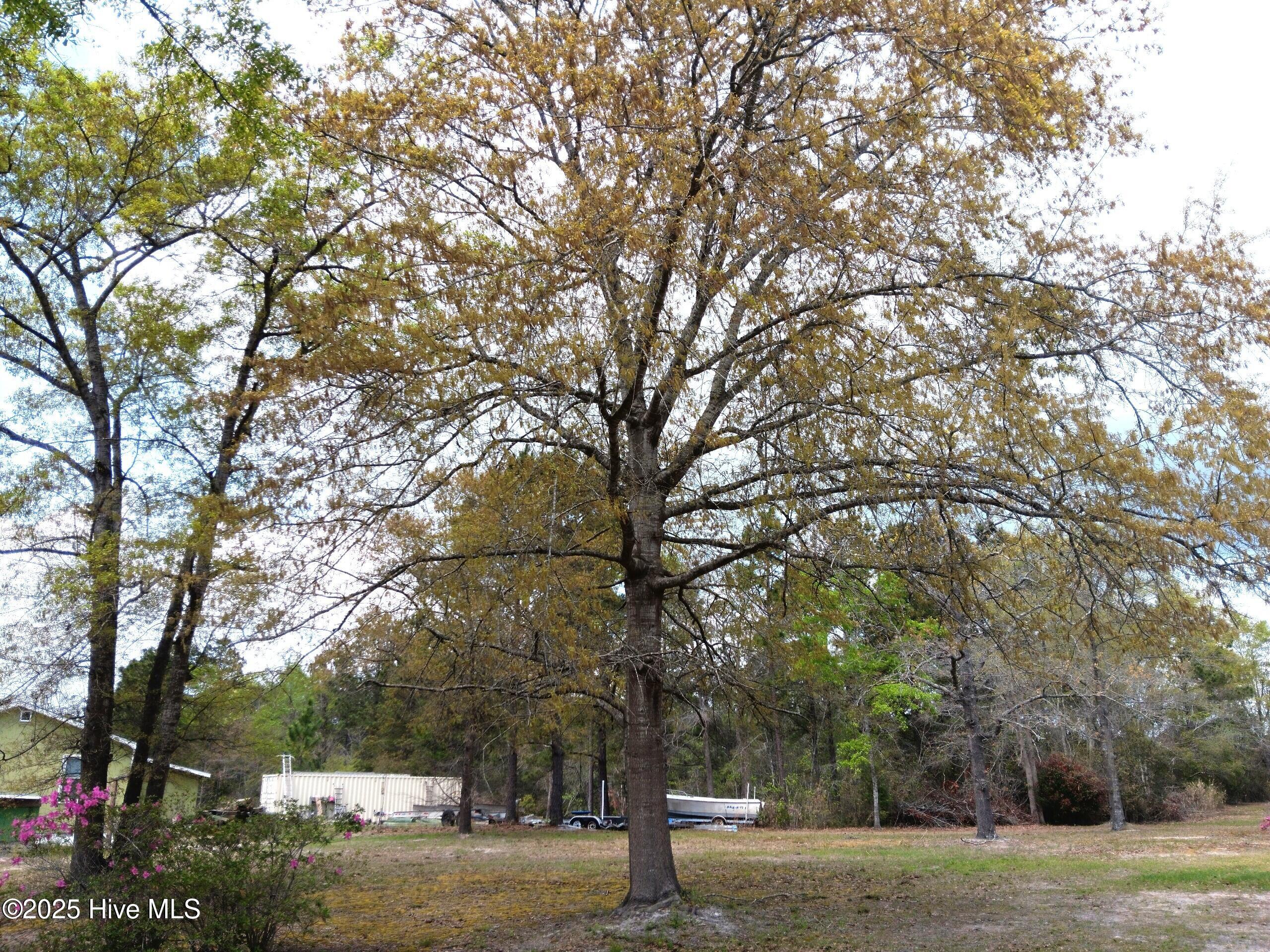 7010 Pinecliff Drive Property Photo 34