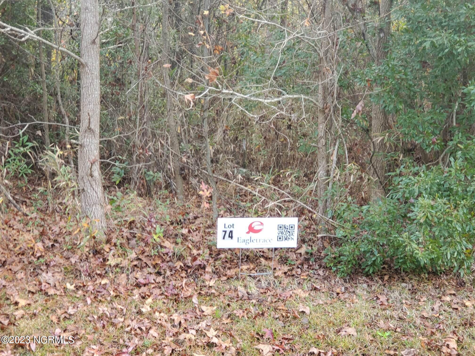 Lot 74 Eagle Nest Trail Property Photo