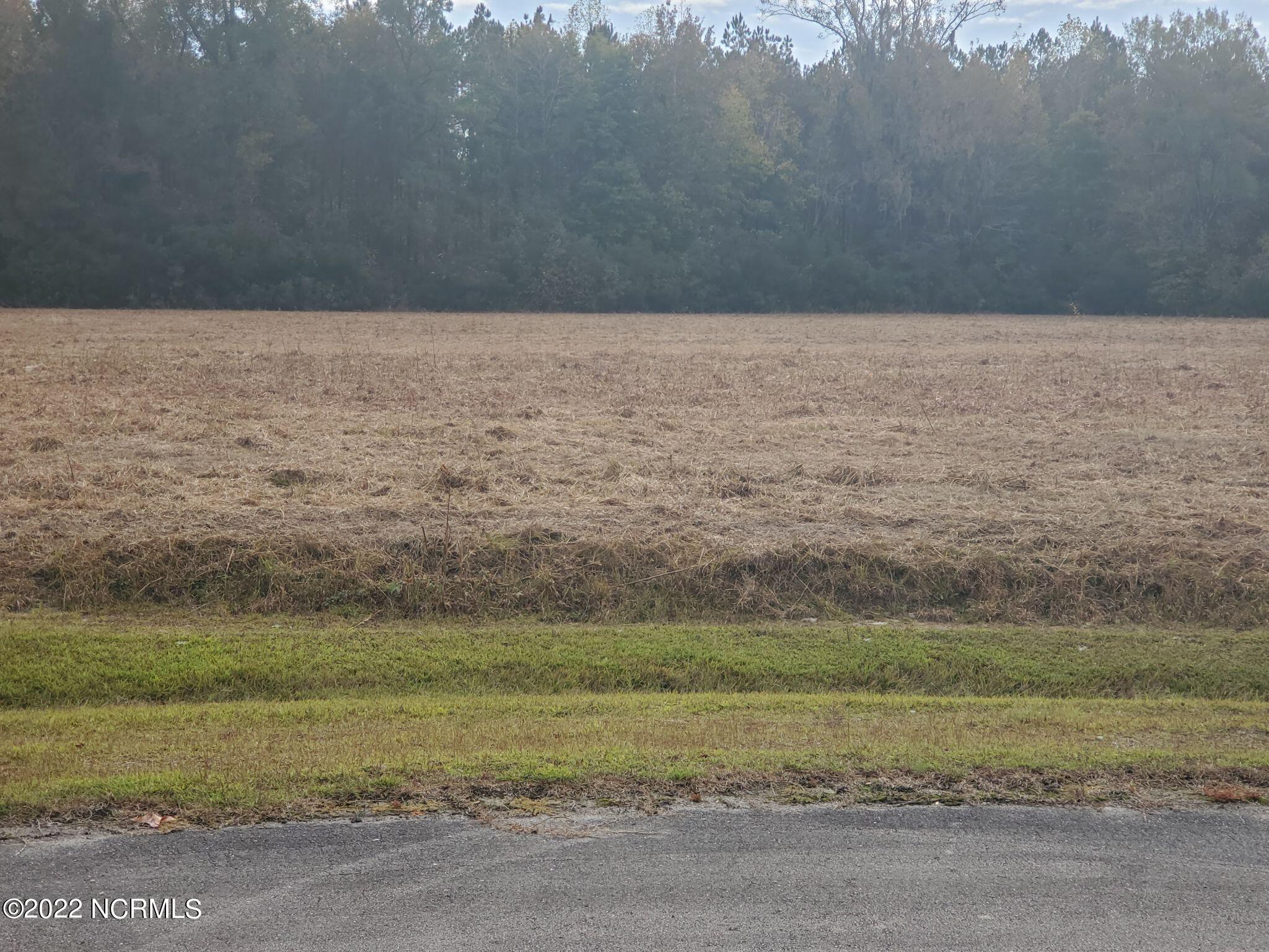 Lot 76 Eagle Nest Trail Property Photo
