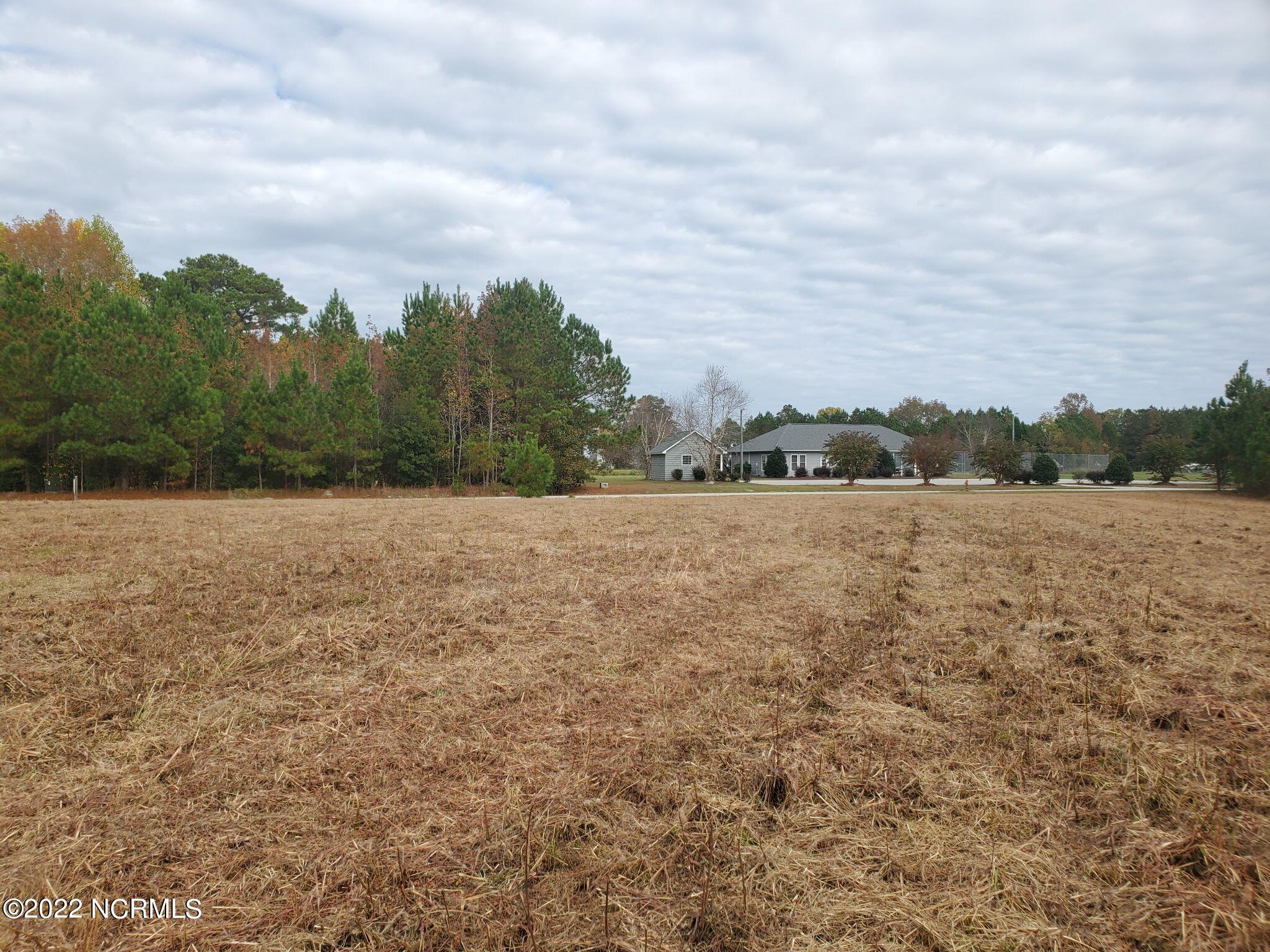 Lot 76 Eagle Nest Trail Property Photo 4